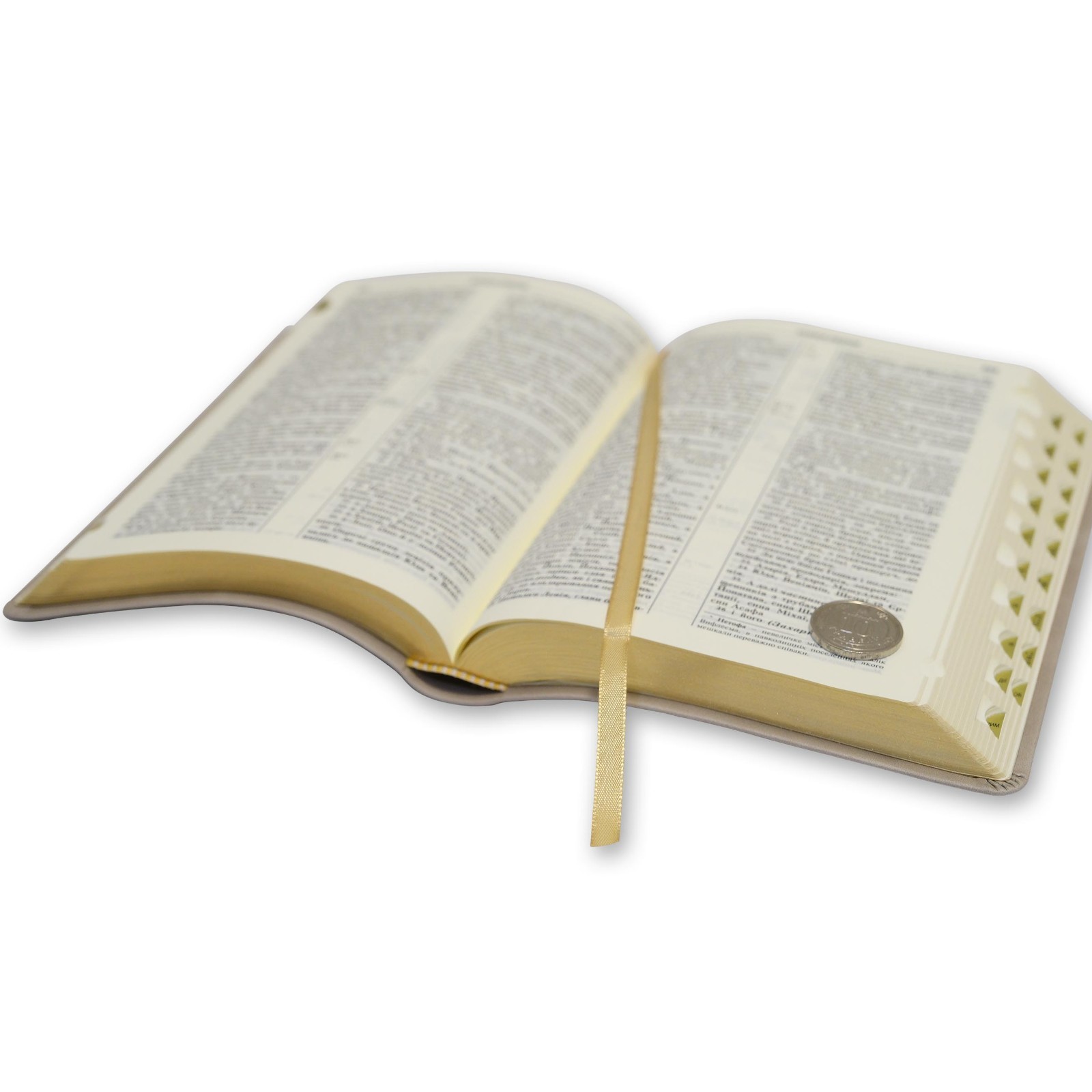 Bible in Ukrainian “БІБЛІЯ” сучасний український переклад 14.5х20.5см