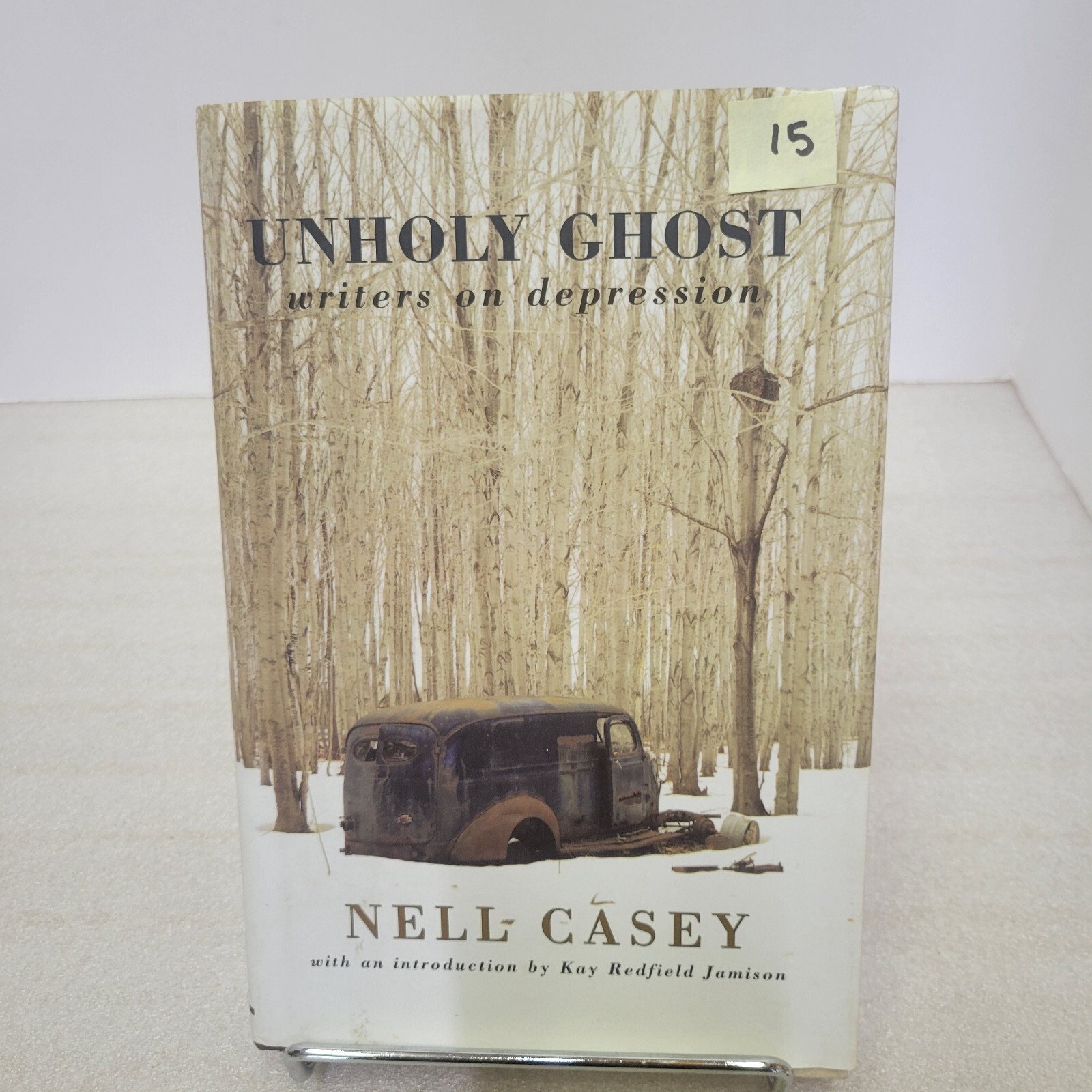 Unholy Ghost: Writers on Depression by Casey, Nell , hardcover 299 pages