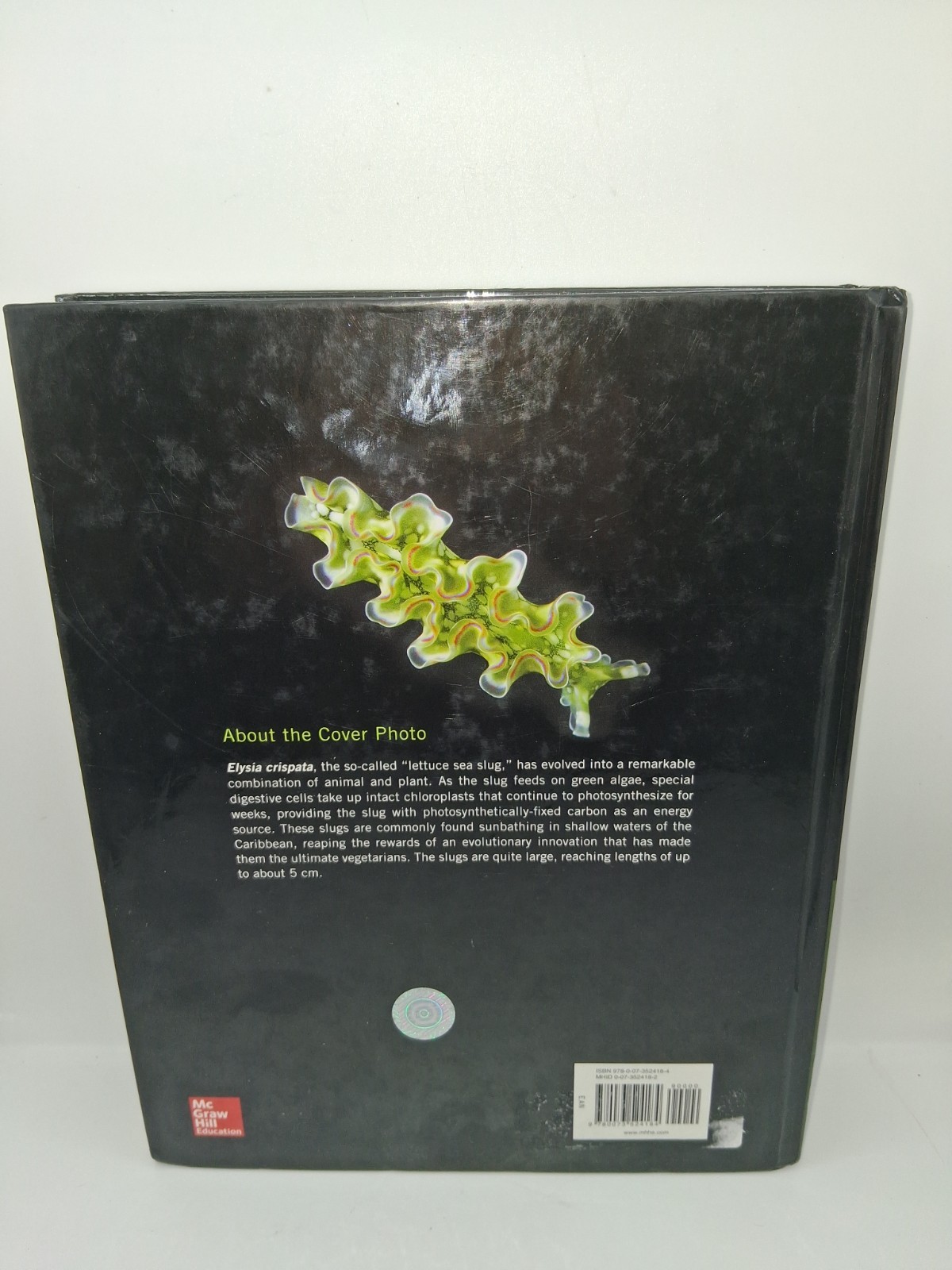 Biology of the Invertebrates Hardcover Jan A. Pechenik