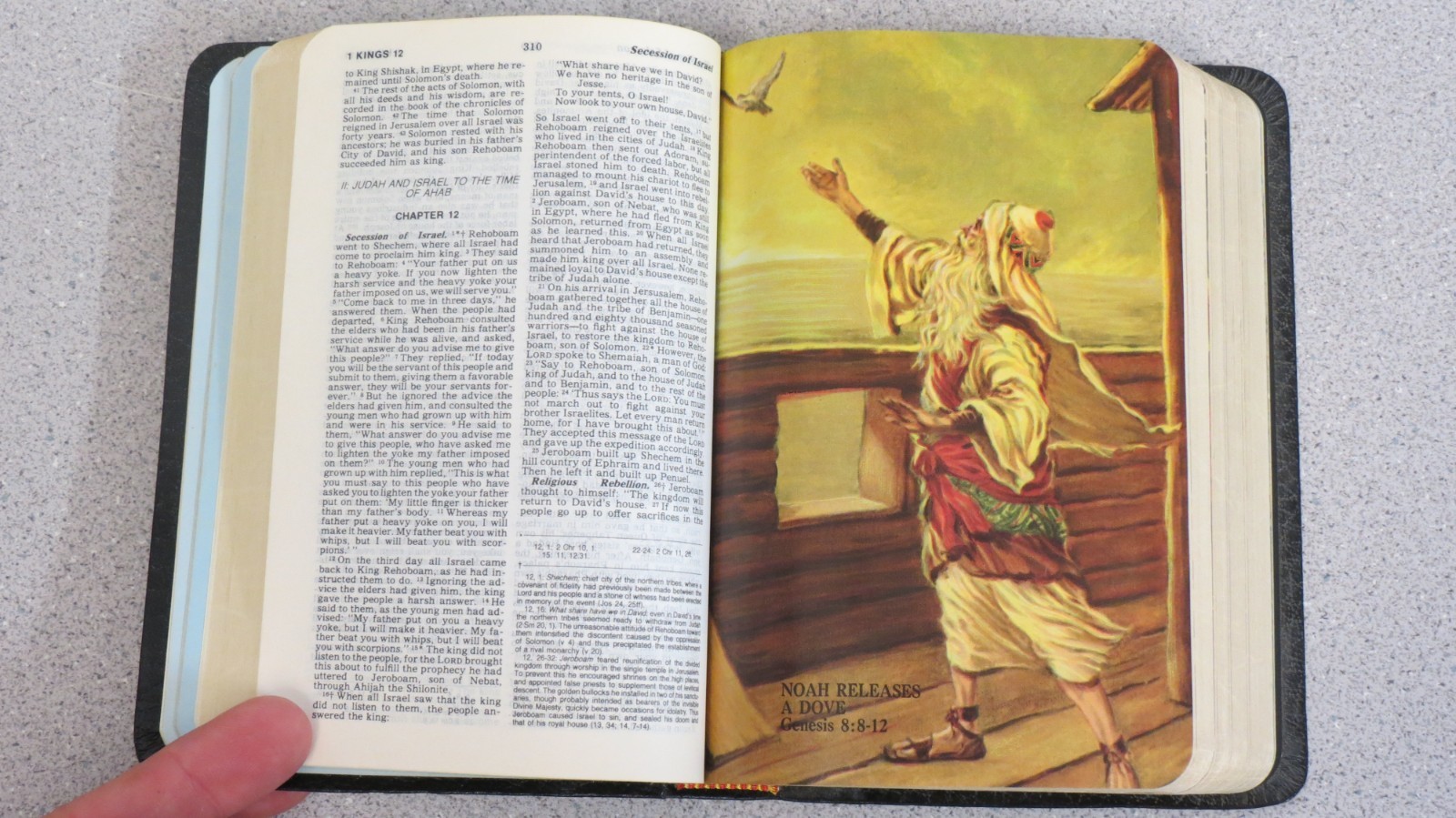Holy Bible – New American Bible – Catholic Edition – Nelson 9023