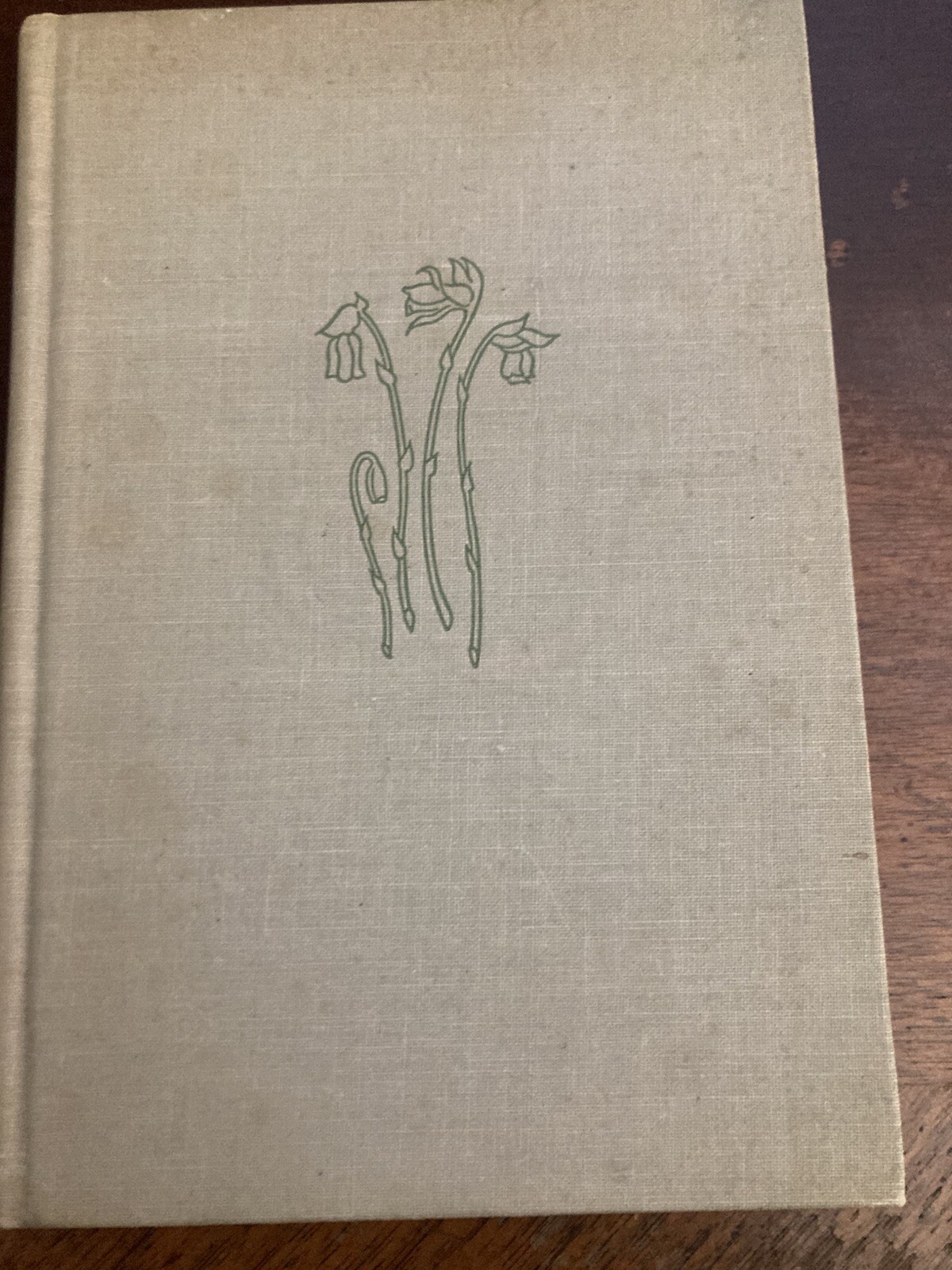 ” MISS EMILY ” BY JEAN GOULD 1946 BOSTON HOUGHTON MIFFIN COMPANY BOOK