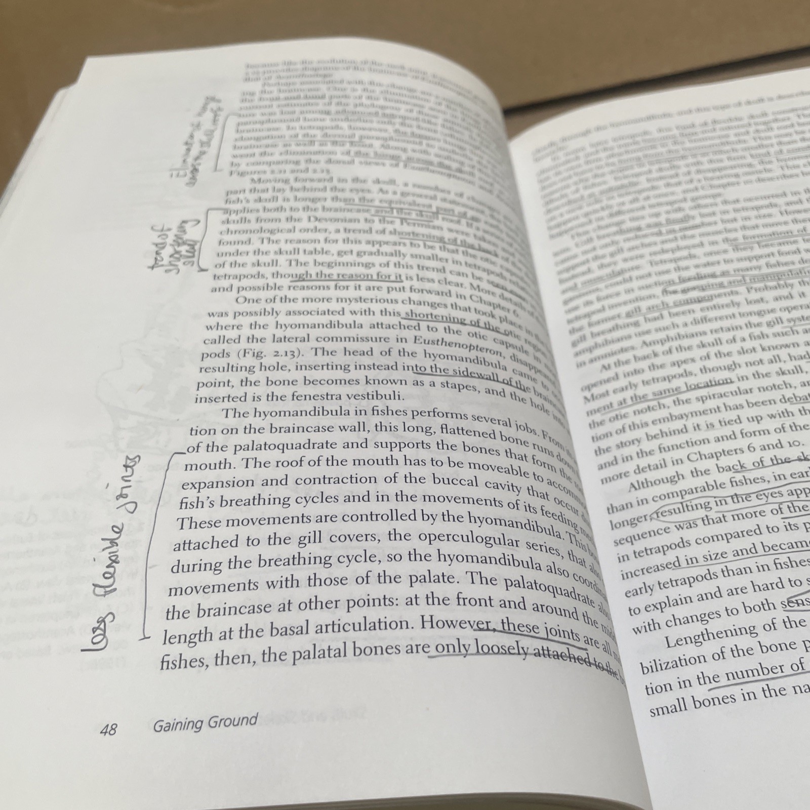 Gaining Ground: The Origin and Evolution of Tetrapods by Clack