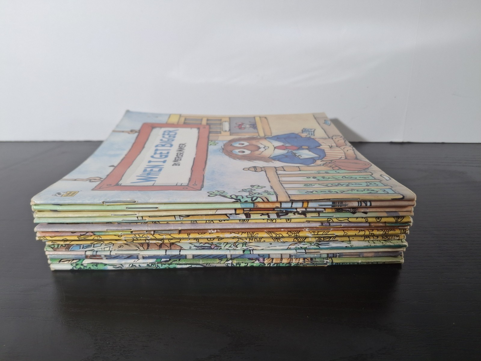 Little Critter Book Lot 15 Mercer Mayer Golden Look-Look Children’s Storybooks