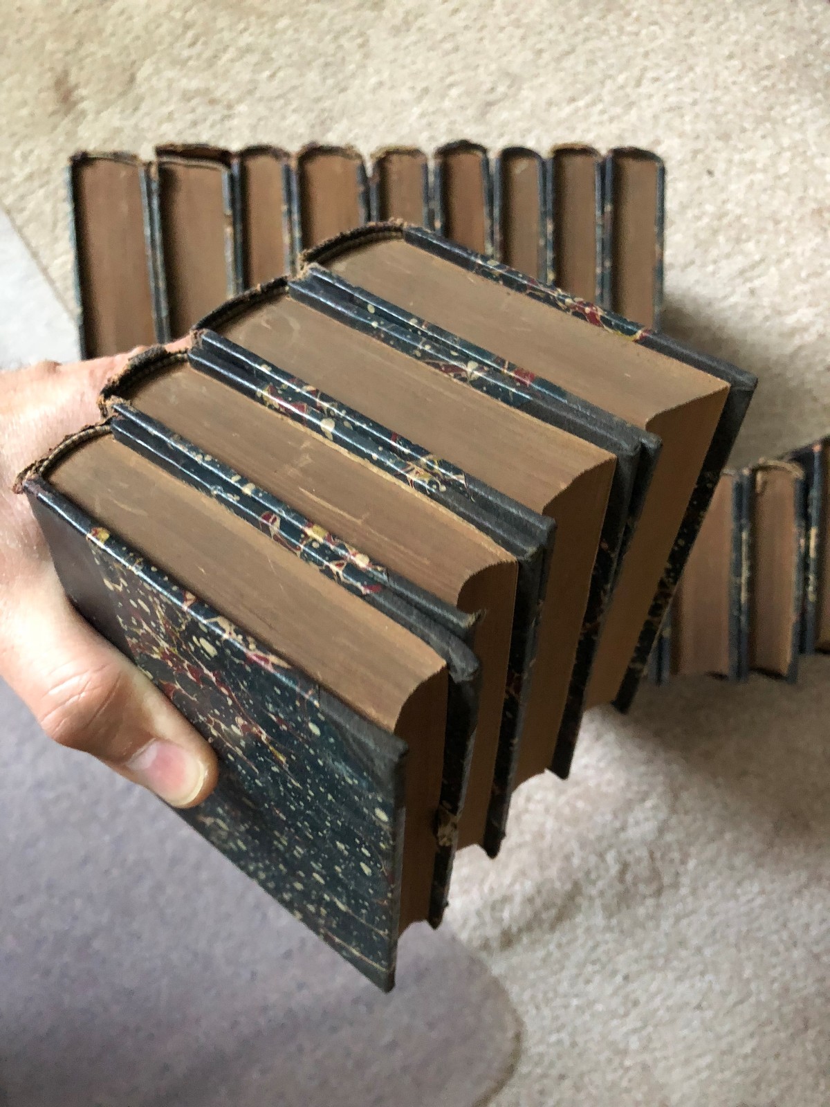 Bibliographisches Institut Meyers Volksbücher 19 Vols Goethe Heine Dante Leipzig