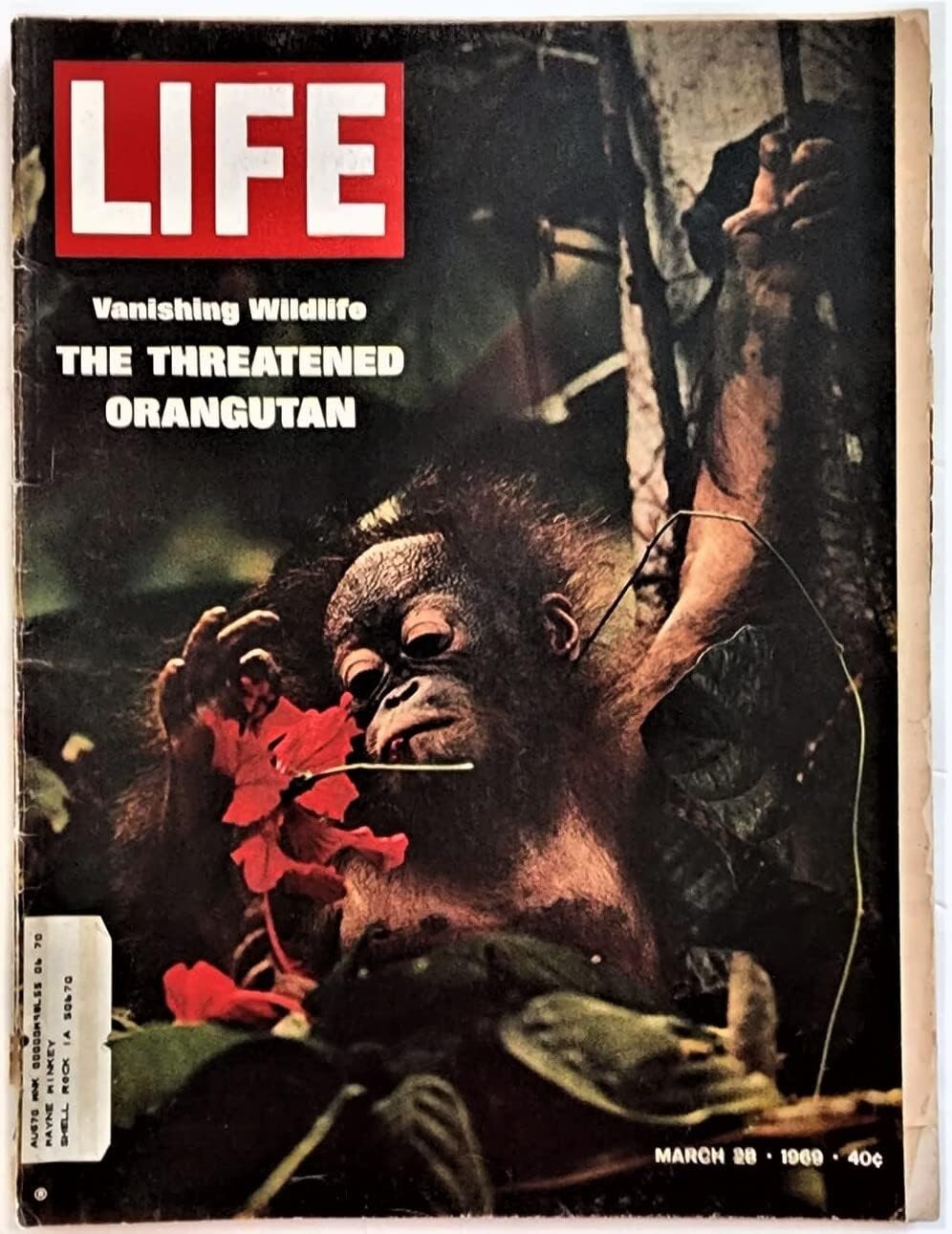March 28, 1969 LIFE Magazine ORANGUTAN 1960s Advertising ads add FREE SHIP 3 27