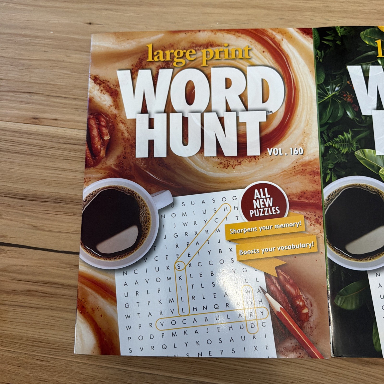2X Large Print Word Hunt Search PaPP Puzzle Books, Vol 160 &161 MEMORY HEALTH