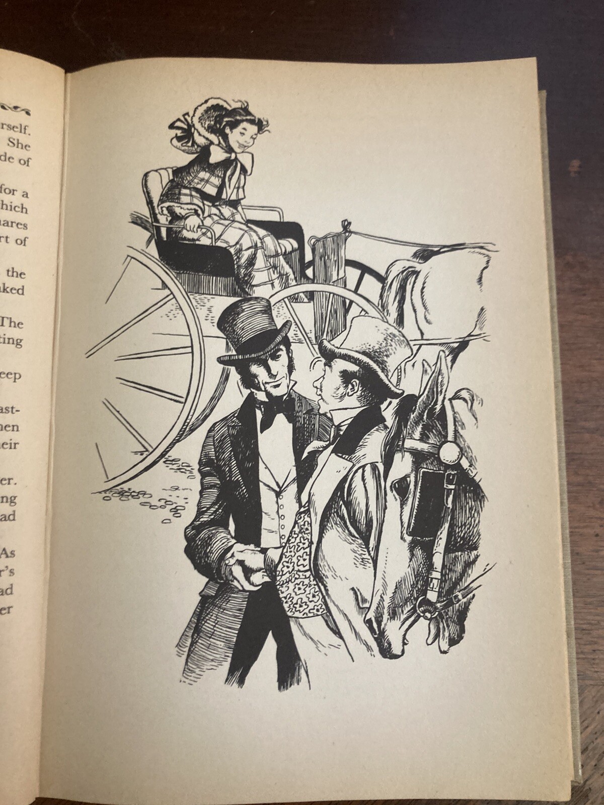 ” MISS EMILY ” BY JEAN GOULD 1946 BOSTON HOUGHTON MIFFIN COMPANY BOOK