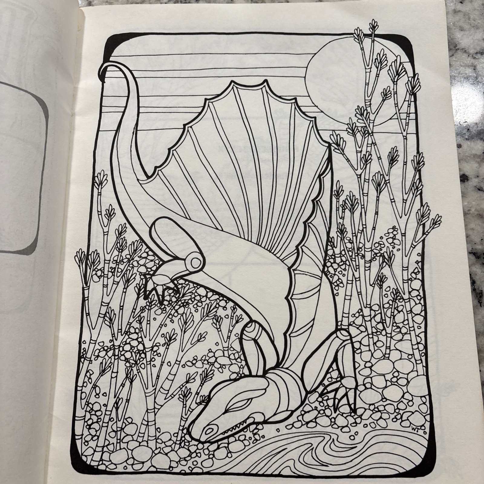 Dinosaur Coloring Book Troubador Press 1970 Retro Unused Oversized