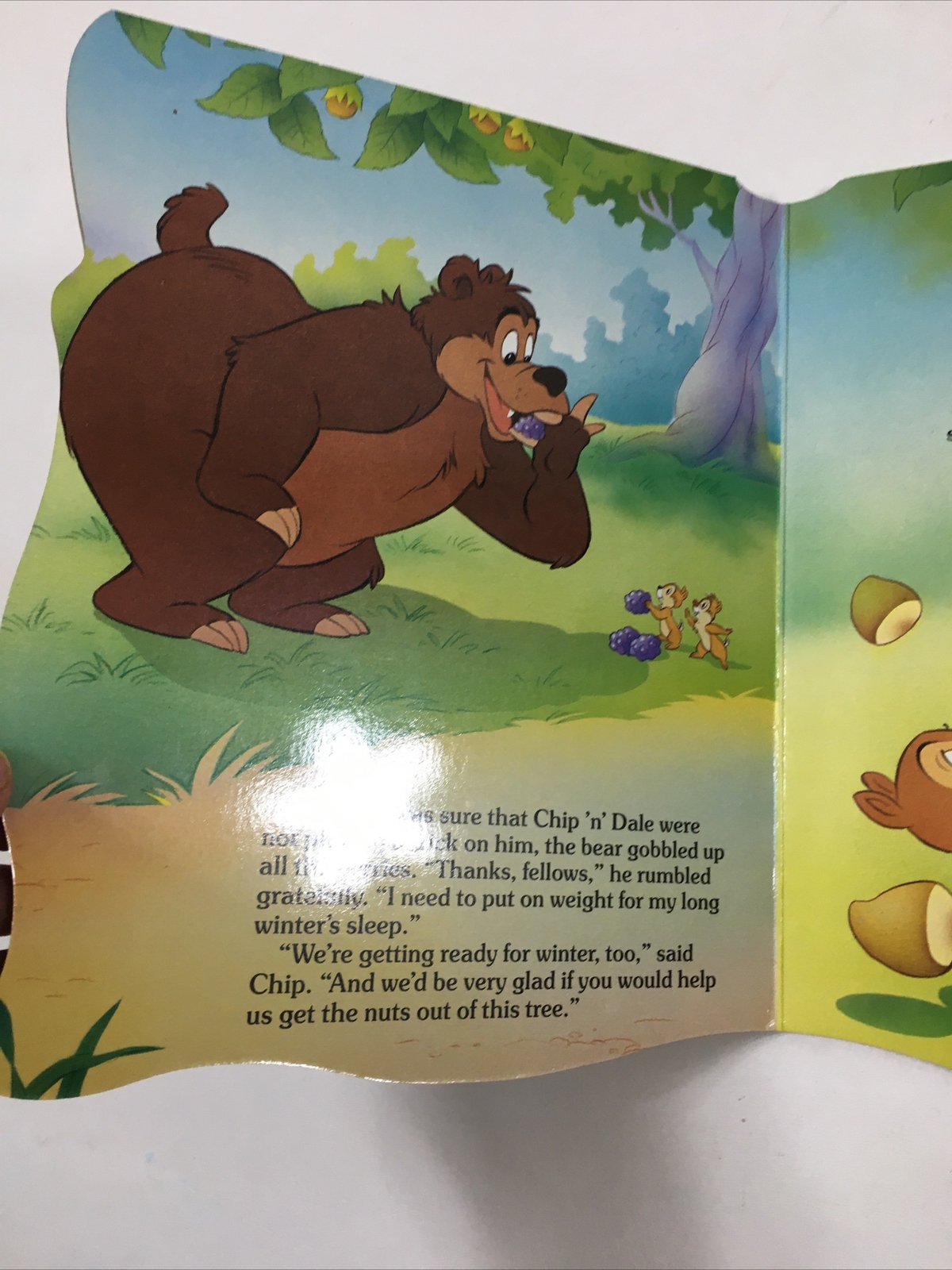 Chip ‘n’ Dale and the Bear – Disney (1989, Hardcover)