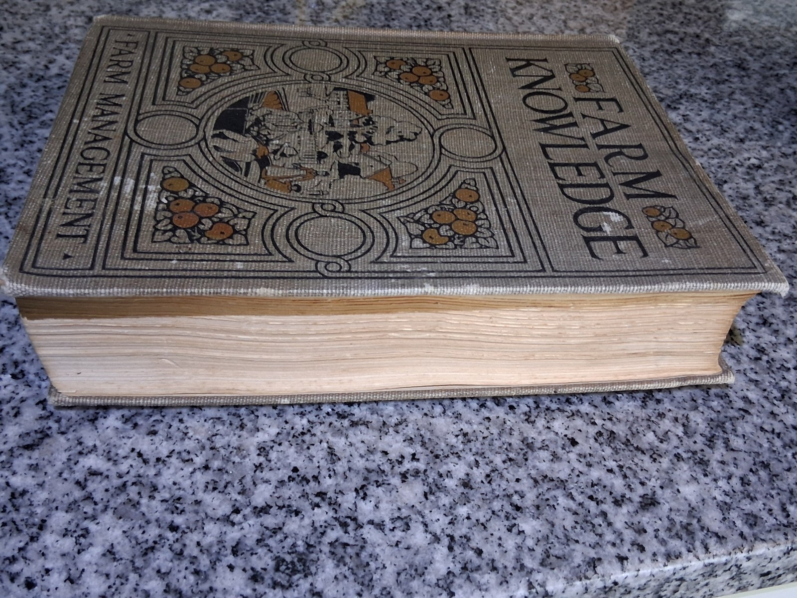 1919 Antique Agriculture Book “Farm Knowledge: Farm Management”