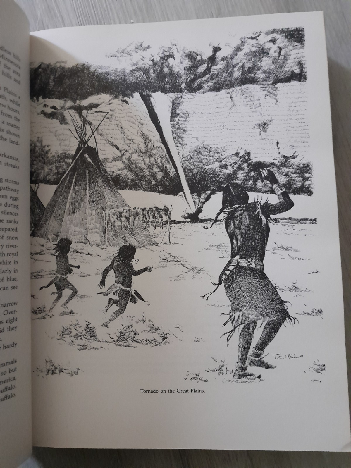 1972 “The Mystic Warriors of the Plains” by Thomas E. Mails, 1st Edition