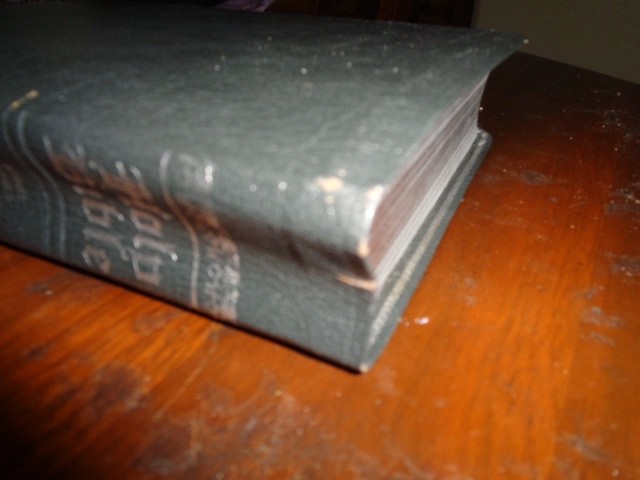 RIVERSIDE gray Genuine Leather Holy Bible KJV Giant Print Living Word WOC in red