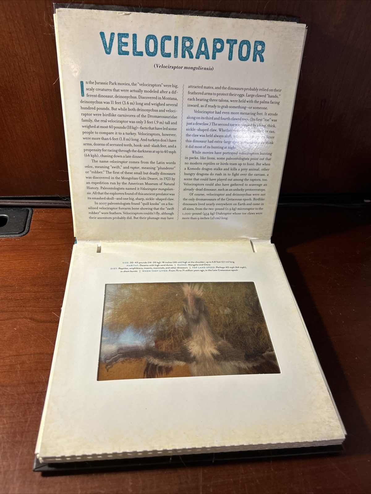Photicular Ser.: Dinosaur : A Photicular Book by Kathy Wollard and Dan Kainen…