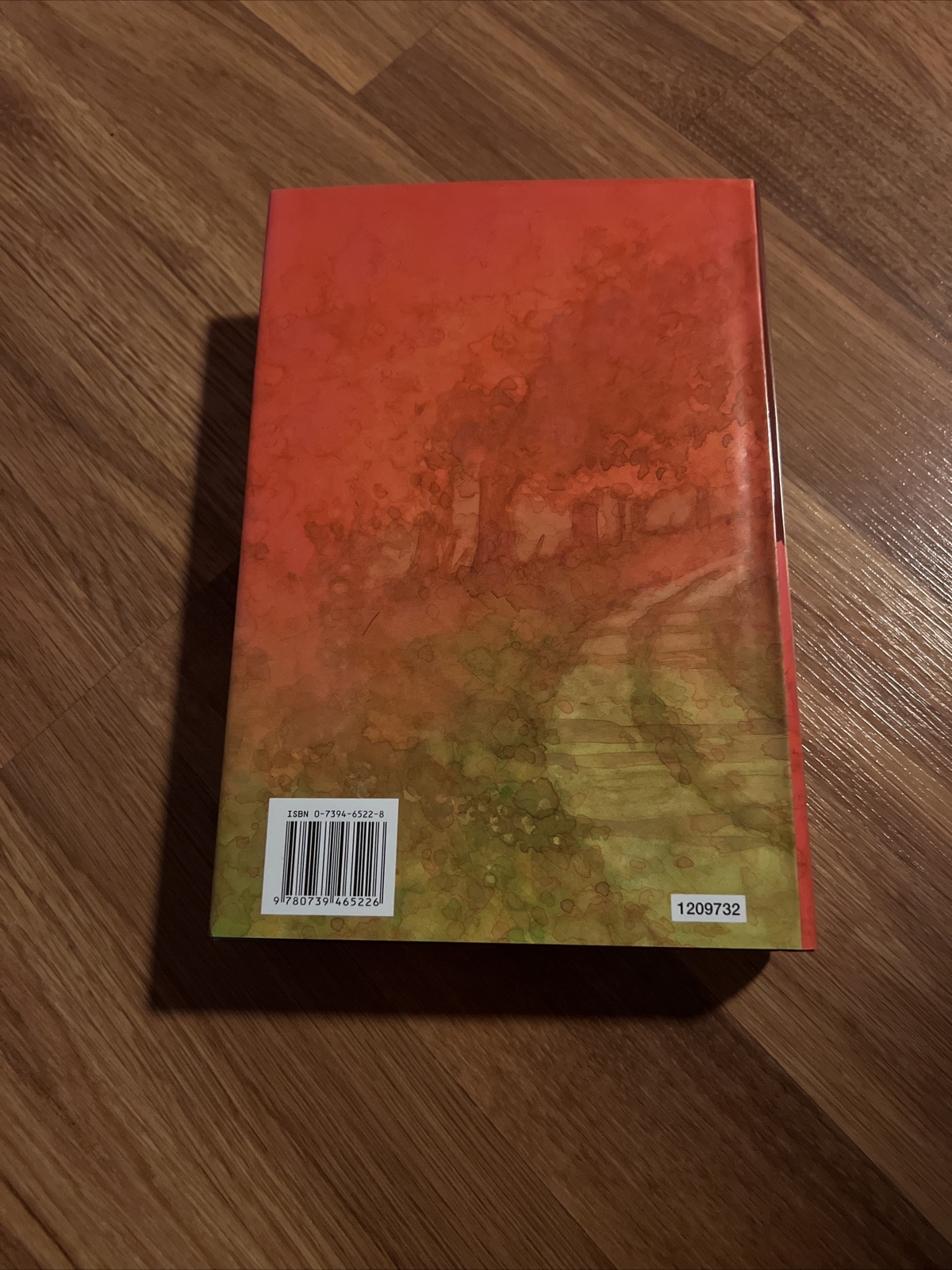 Hearts Divided Hardcover 428 Pages Like New Condition!
