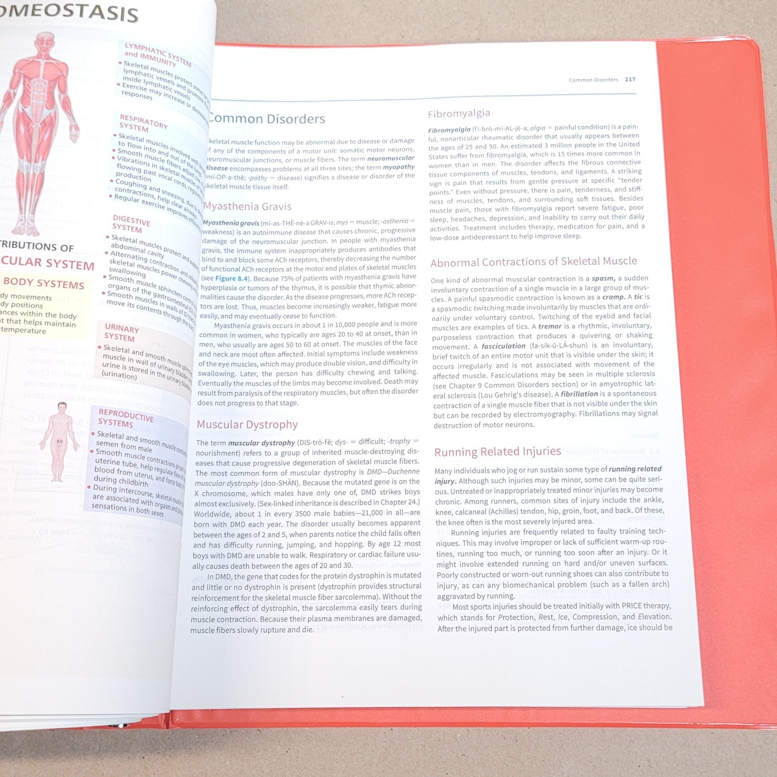 Introduction to the Human Body by Gerard J. Tortora LOOSE LEAF EDITION