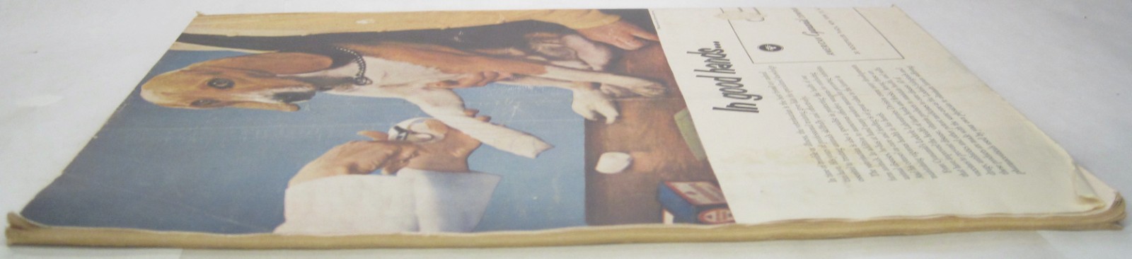 Vintage Scientific American Magazine May 1954 Volume 190 Issue 5