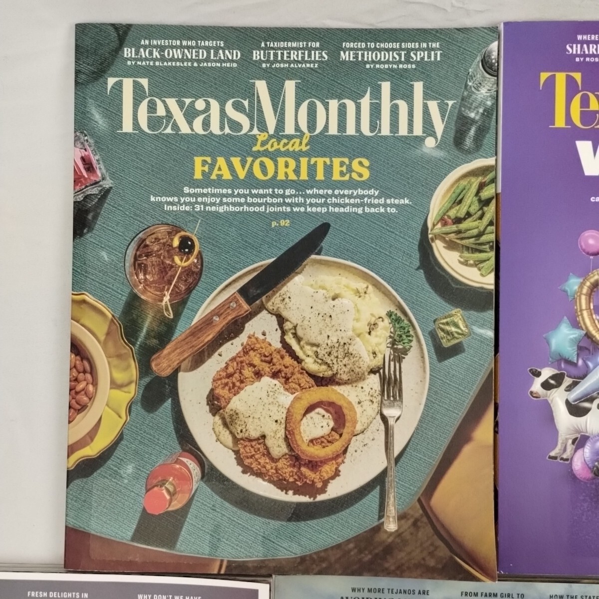 TEXAS MONTHLY Magazine Lot Of 10 2020-2022-2023 Elon Musk Hogs Tanya Tucker #1