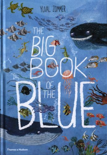 Big Book of the Blue by Yuval Zommer (2018, Hardcover)