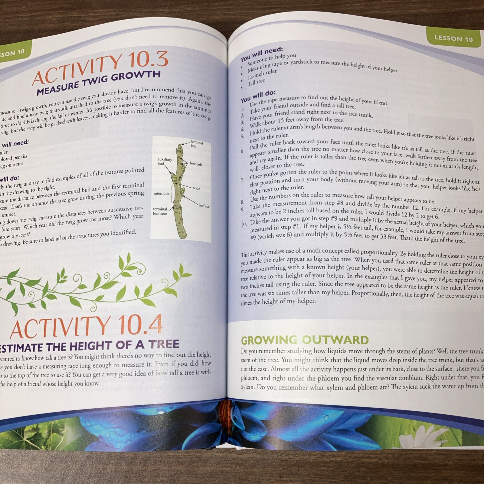 Apologia – Exploring Creation with Botany Textbook – 2nd Edition 2020