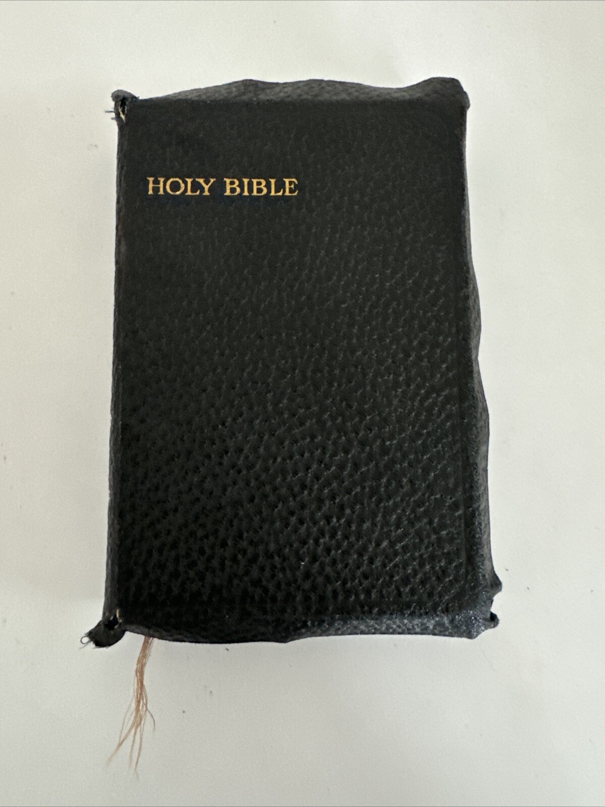 The Holy Bible Illustrated Scholars Edition Leatherette Cover Gild Edging 1920s