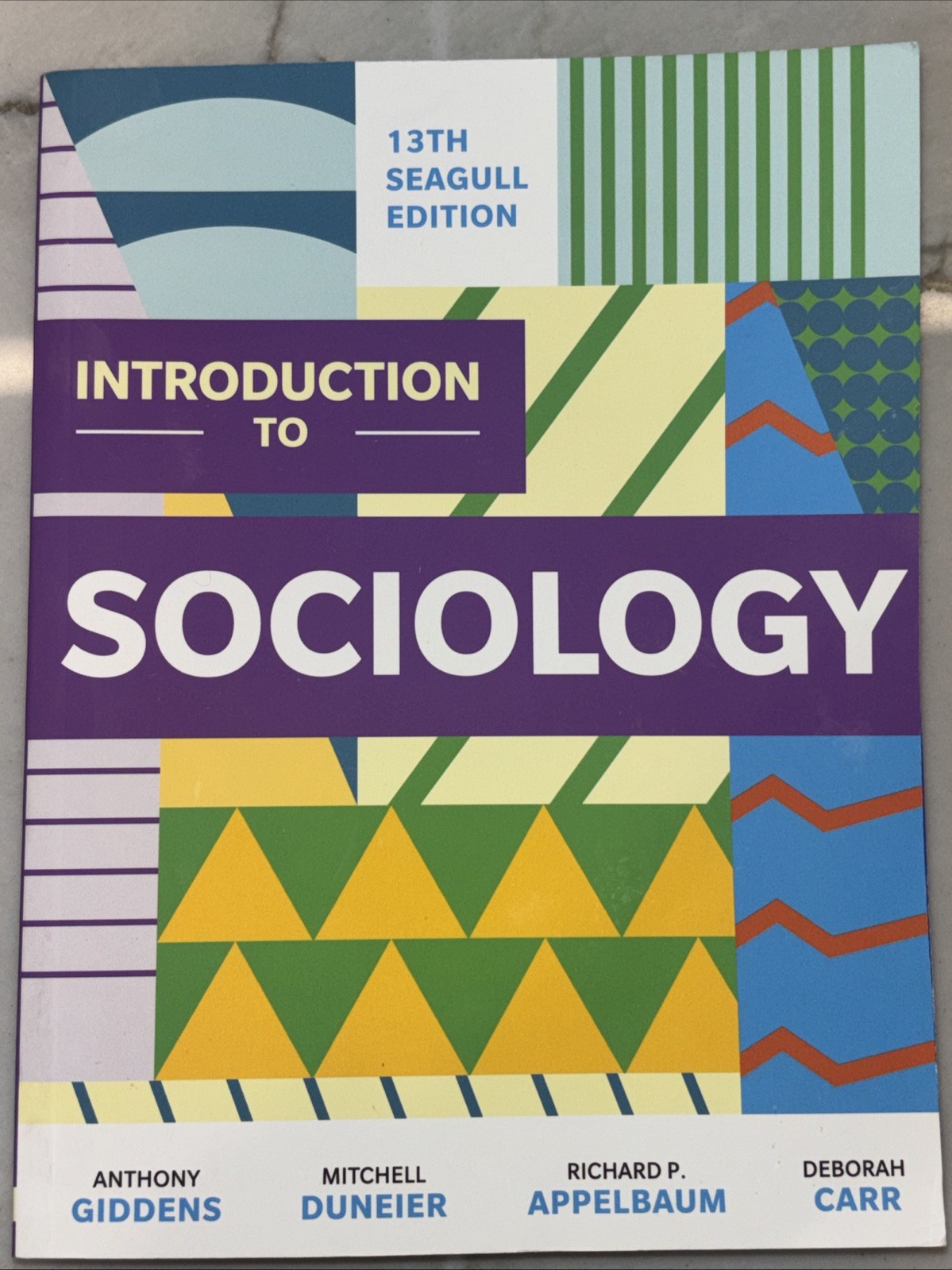Introduction to Sociology 13th Seagull Edition – Appelbaum, Carr, Nelson 13