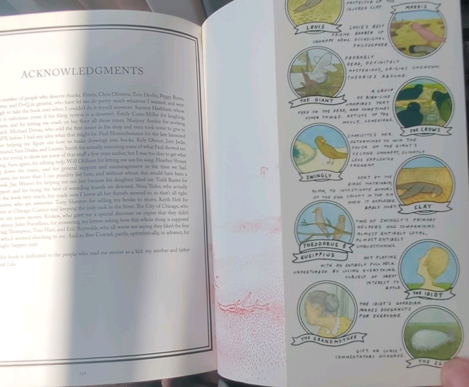 Big Questions Hardcover Illustrated 2009 Drawn & Quarterly Anders Nilsen