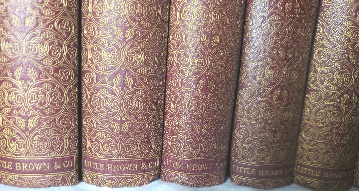 Volume Set Alexandre Dumas Up To 40 Books Fine Binding 1800s Red Gold Beautiful