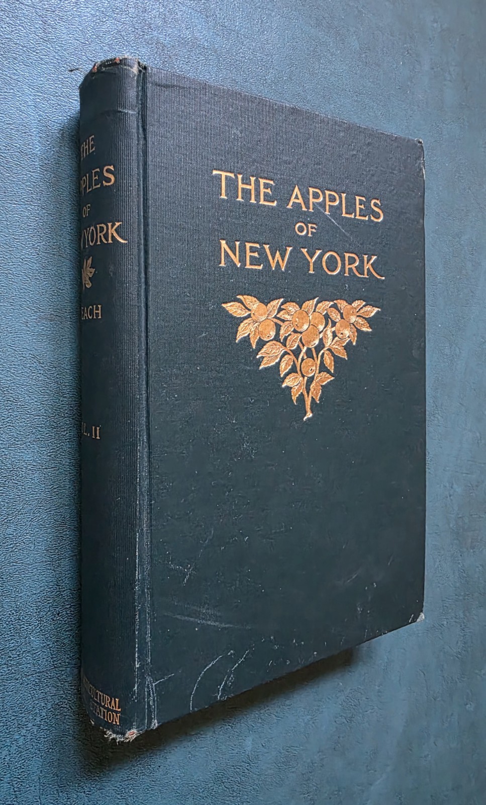 THE APPLES OF NEW YORK Vol 2 S. A. Beach 1905 1st Edition ILLUSTRATED Hardcover