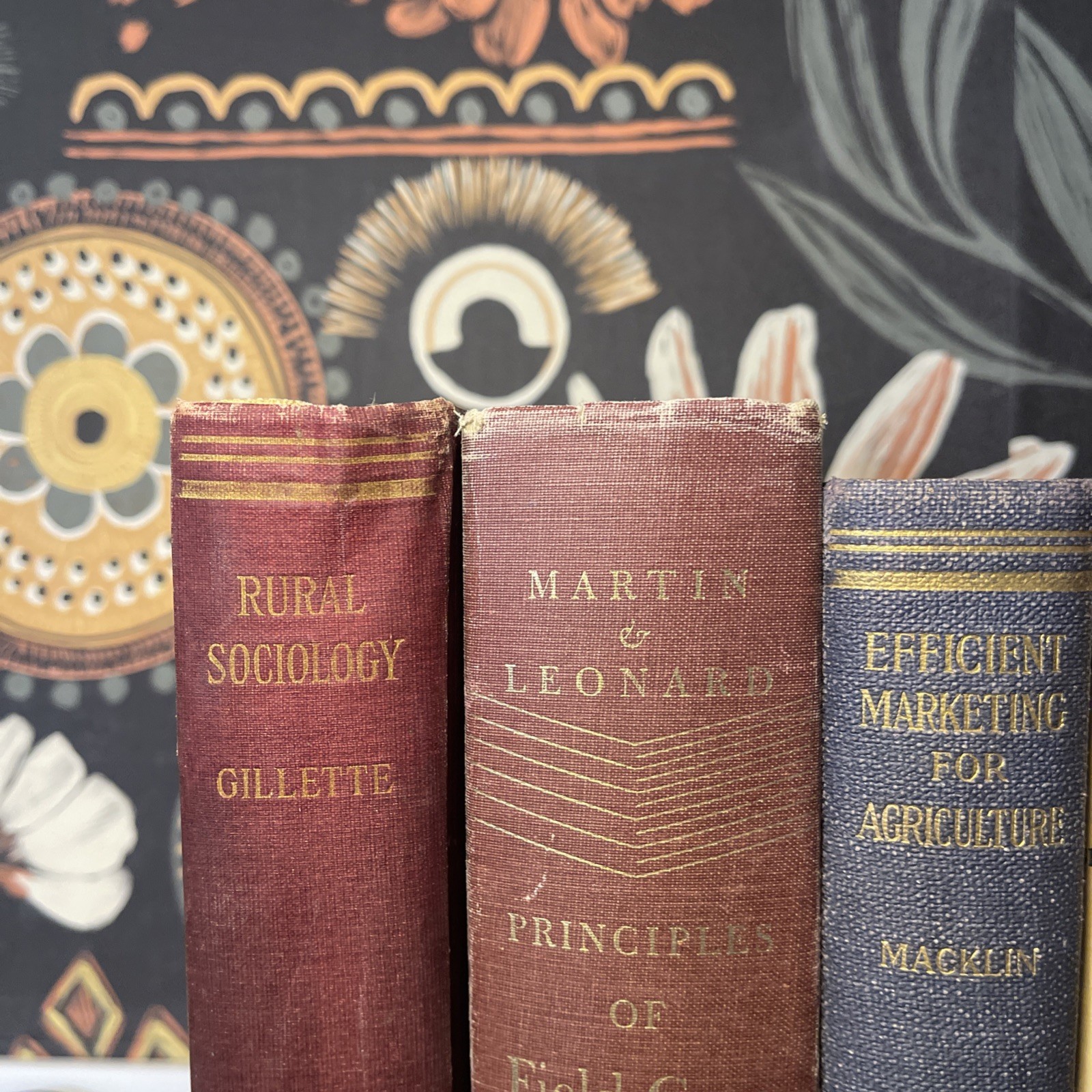 Antique Macmillan Agriculture & Rural Sociology Lot (6) 1920-1929 First Editions
