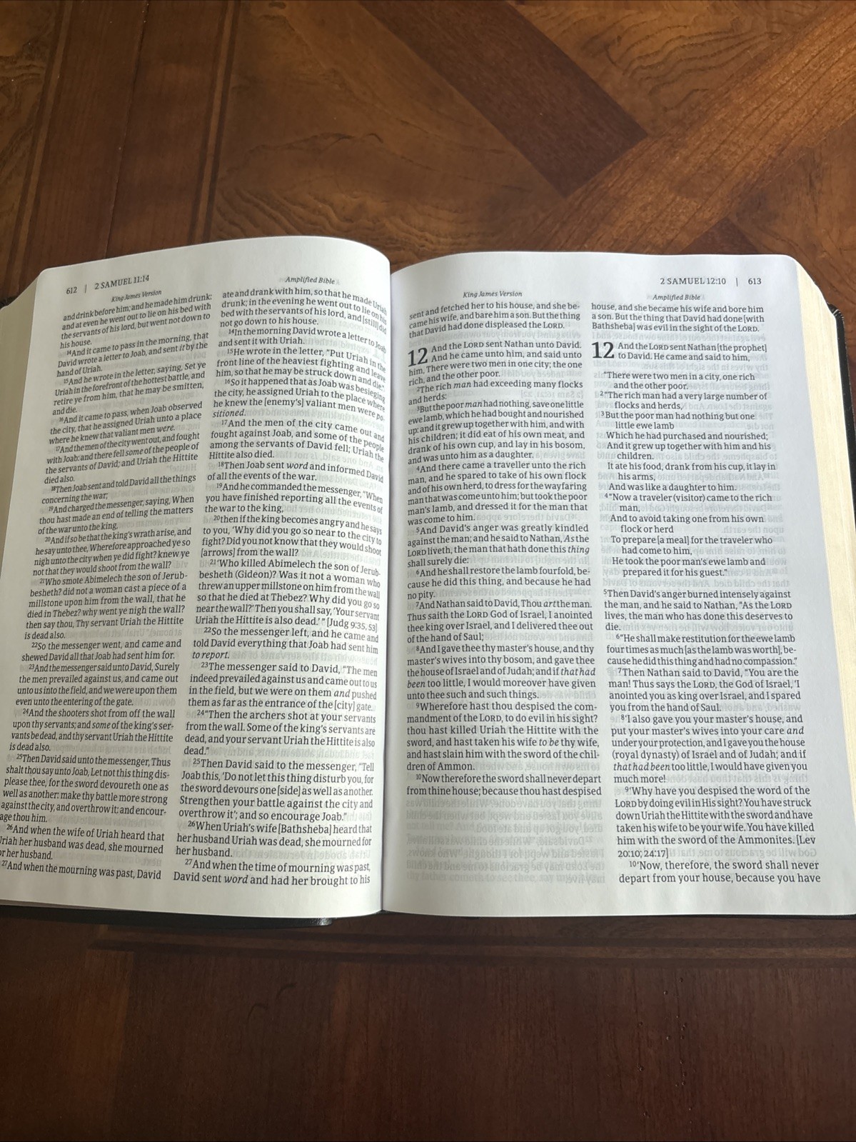 KJV Amplified Parallel Bible Red Letter Edition [Large Print, Black]