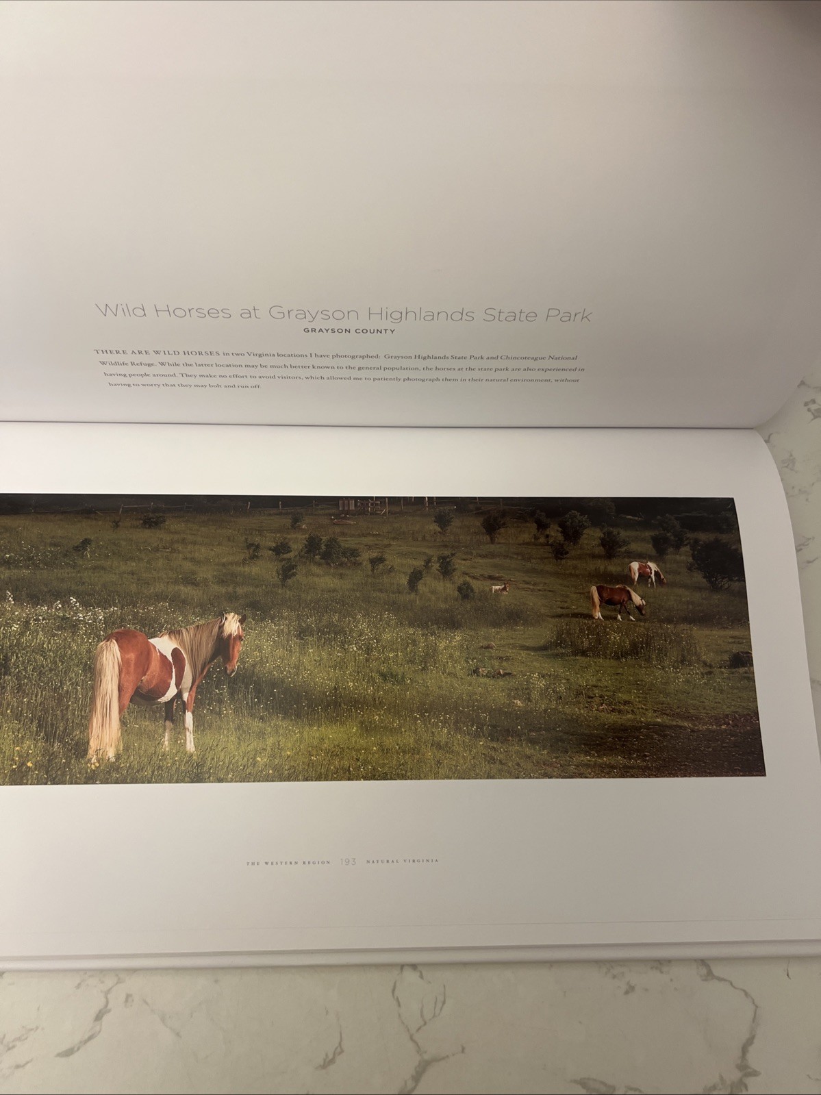 NATURAL VIRGINIA By Ben Greenberg – HCDJ Signed Copy