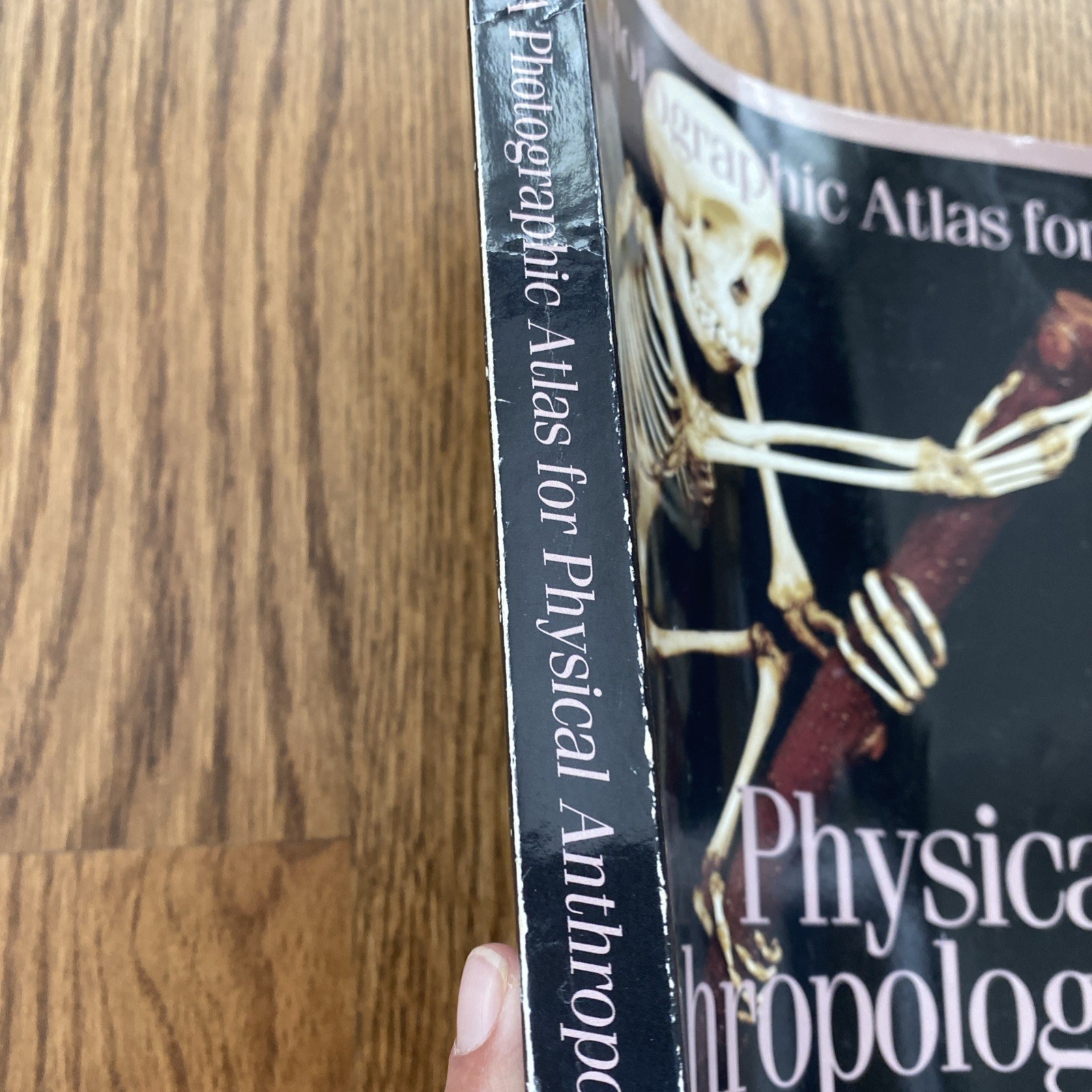 A Photographic Atlas for Physical Anthropology Whitehead 2005 Anatomy Evolution