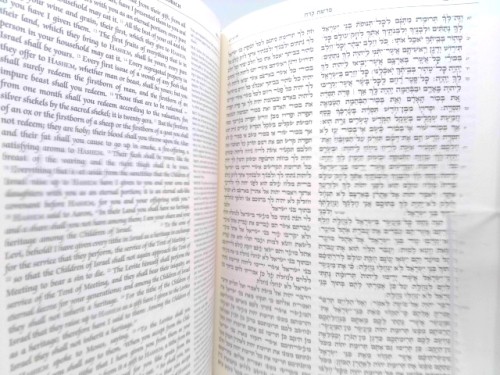 The Kestenbaum Edition Tikkun: The Torah Reader’s Compendium by Rabbi Avie Gold