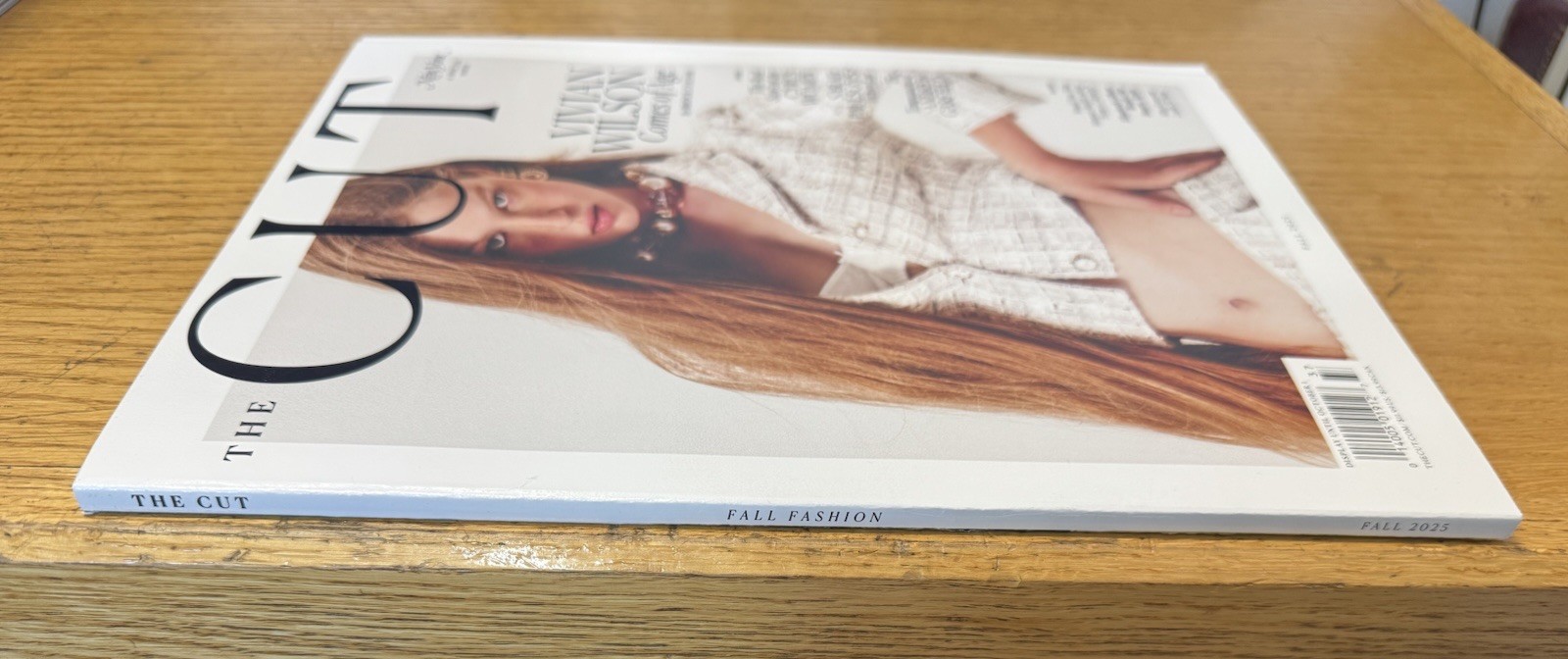 THE CUT MAGAZINE-NEW YORK A SPECIAL ISSUE-FALL 2025-VIVIAN WILSON-Brand New