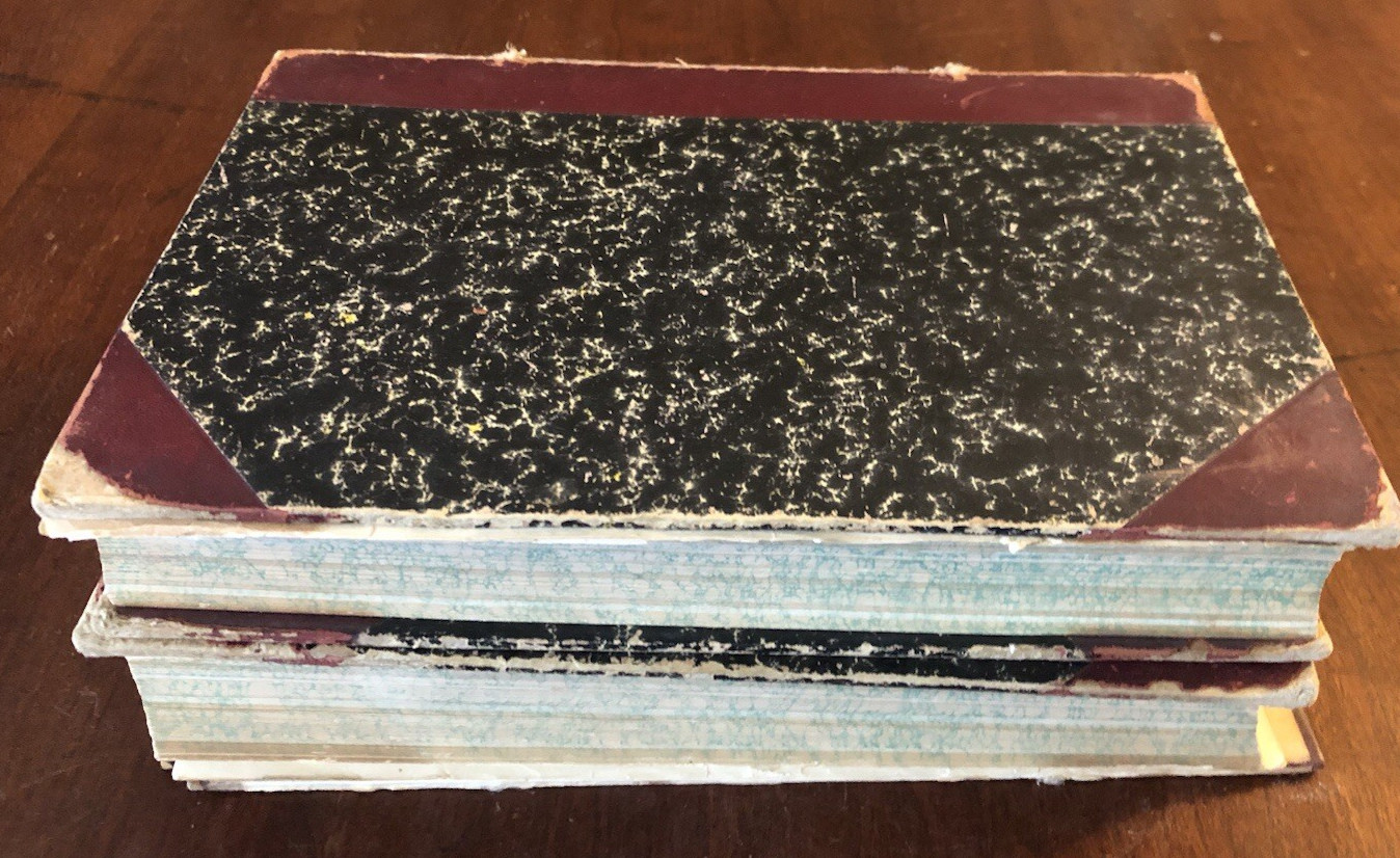 BOOKLOVERS MAGAZINE 1903 bound volumes 1 & 2 *Fragile Vintage Cond-see photos*