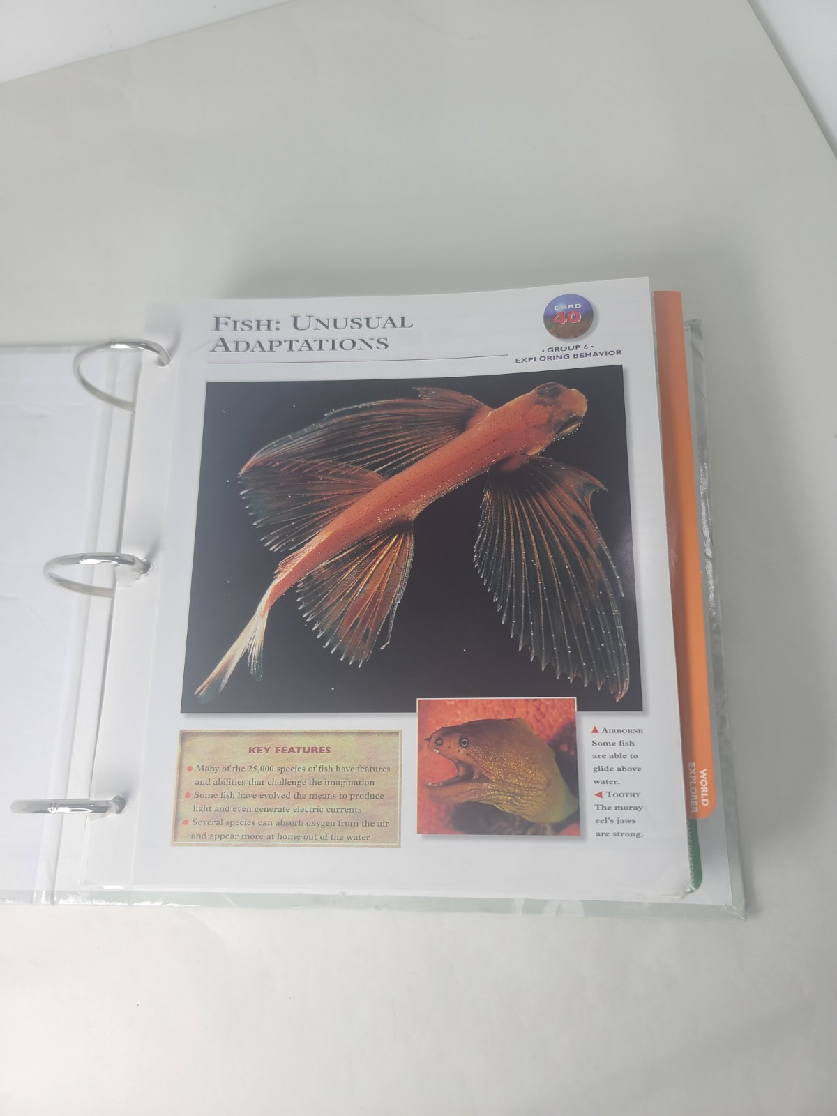 Wildlife Explorer Hard Binder 3 Groups over 254 BiFold Full Color Pages IMP Inc.