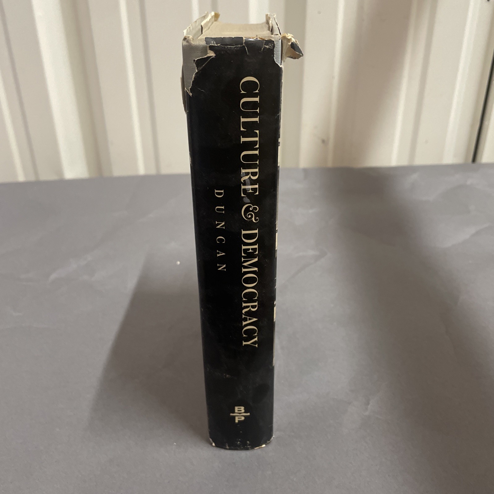 CULTURE & DEMOCRACY Louis SULLIVAN Architecture Philosophy CHICAGO SCHOOL HC 1st