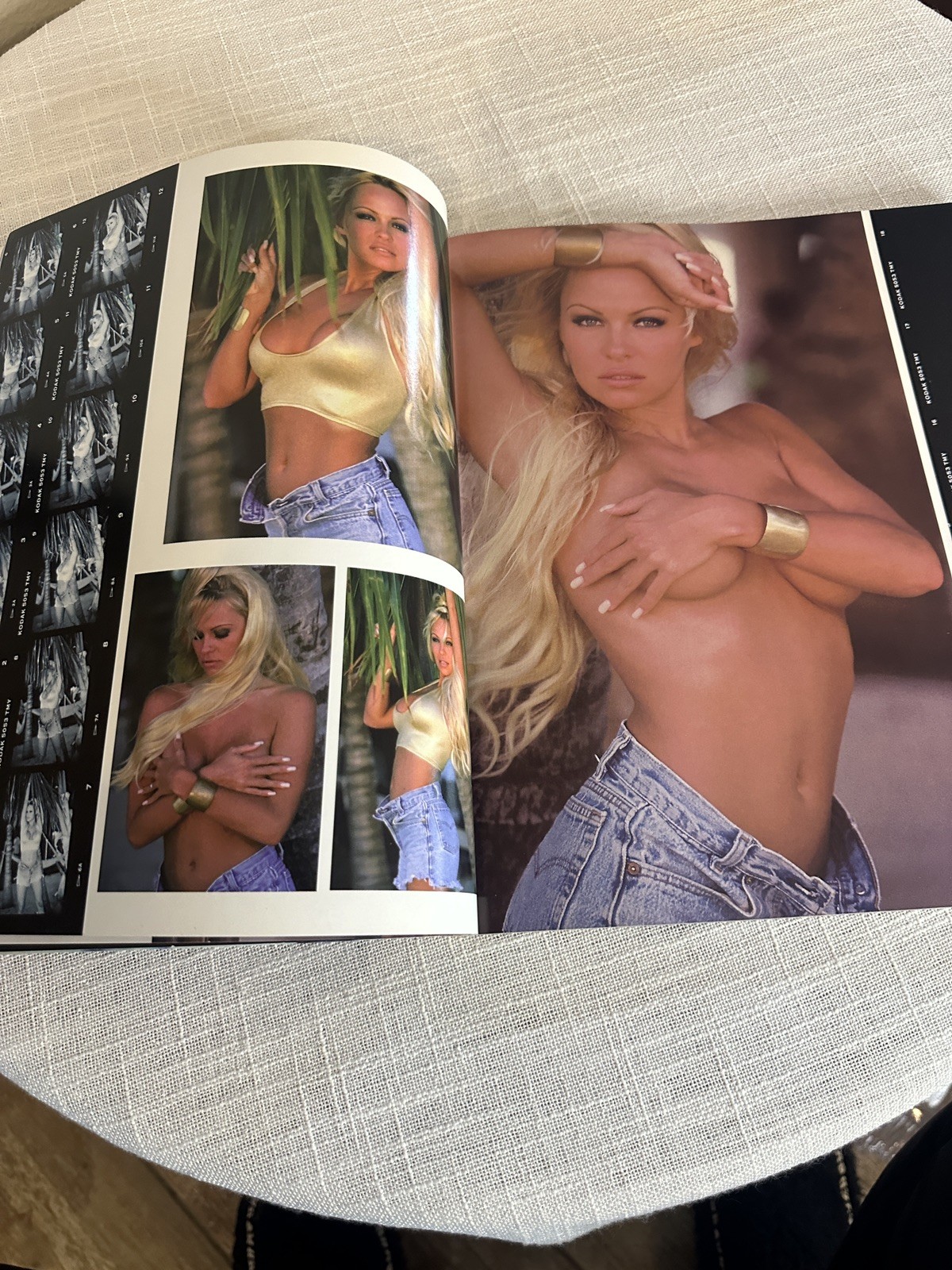 Pamela Anderson in Pictures -Paperback 1996 Photographs Stephen Wayda 159 pages