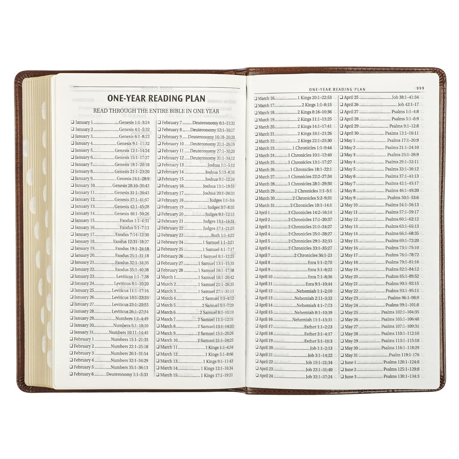 KJV Holy Bible, Standard Size Faux Leather Red Letter Edition Thumb Index & Ribb