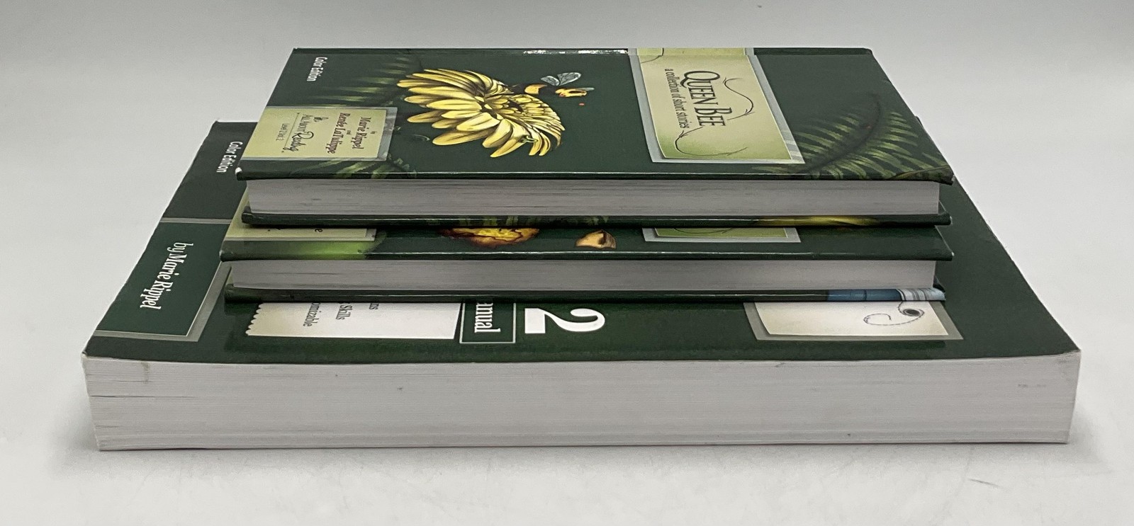 All About Reading Level 2 Teacher’s Manual Marie Rippel LaTulippe set