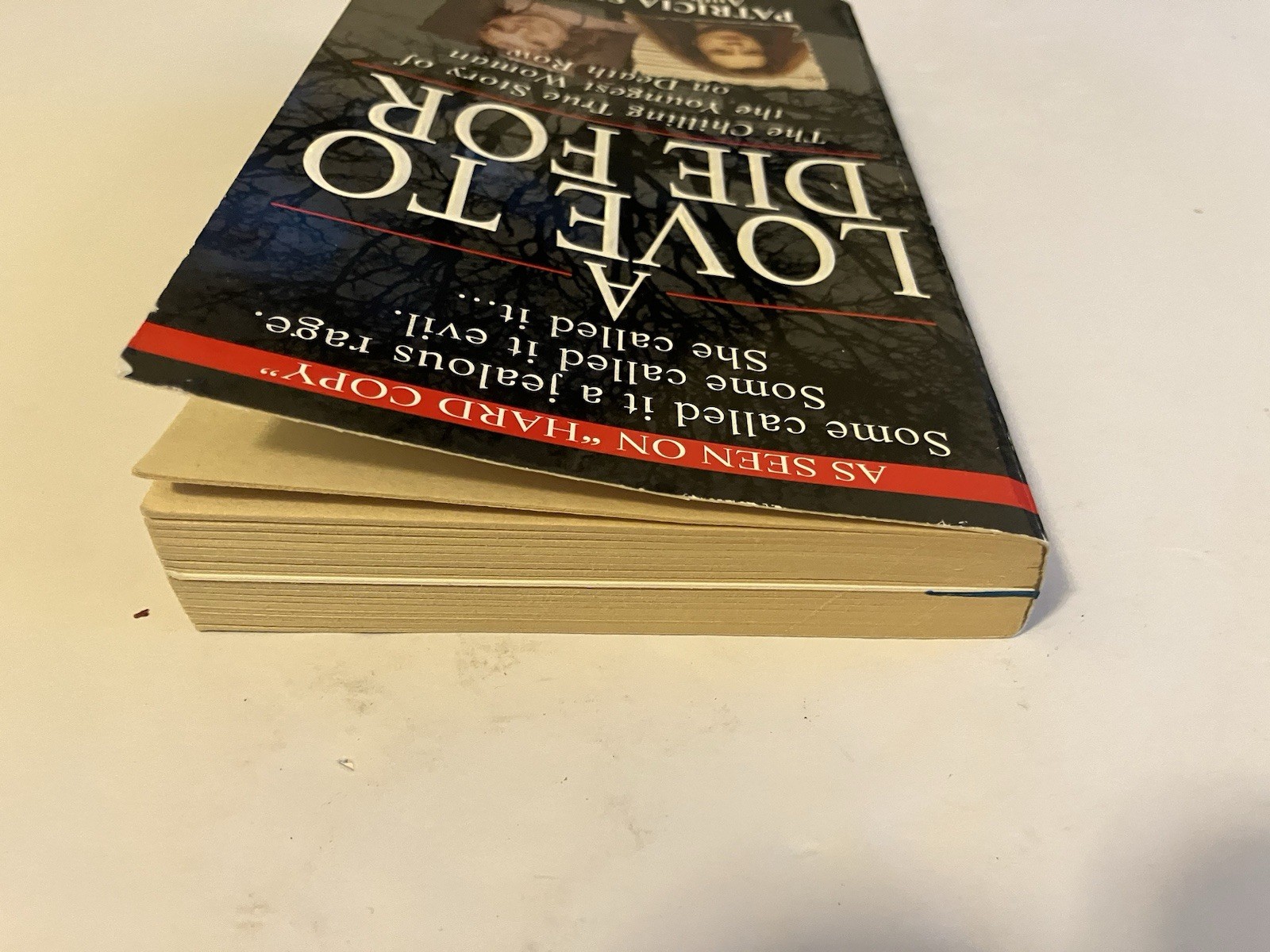 A LOVE TO DIE FOR PATRICIA SPRINGER PB 1ST PINNACLE TRUE CRIME WOMAN DEATH ROW