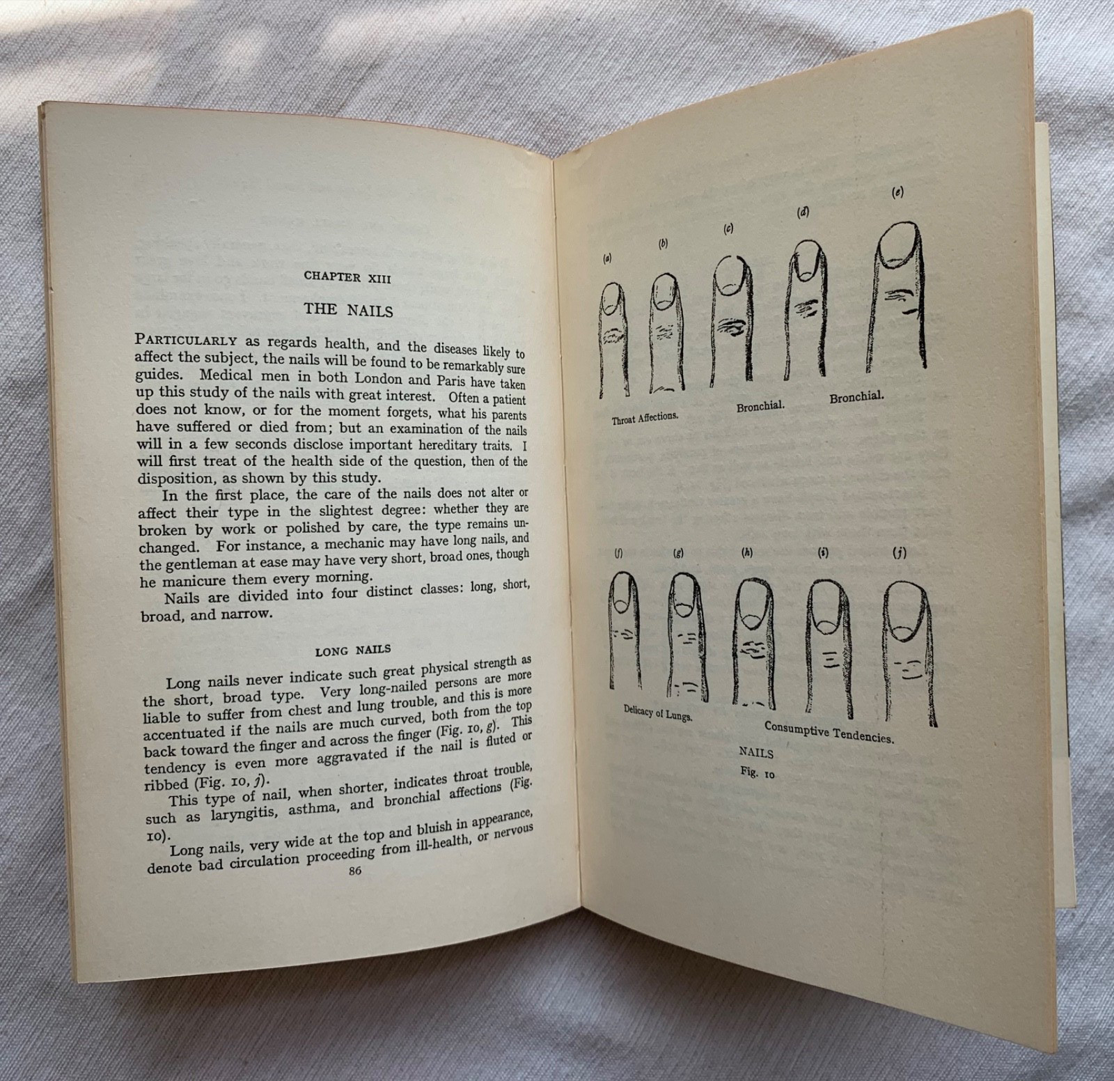 Cheiro’s Language Of The Hand by HERBERT JENKINS