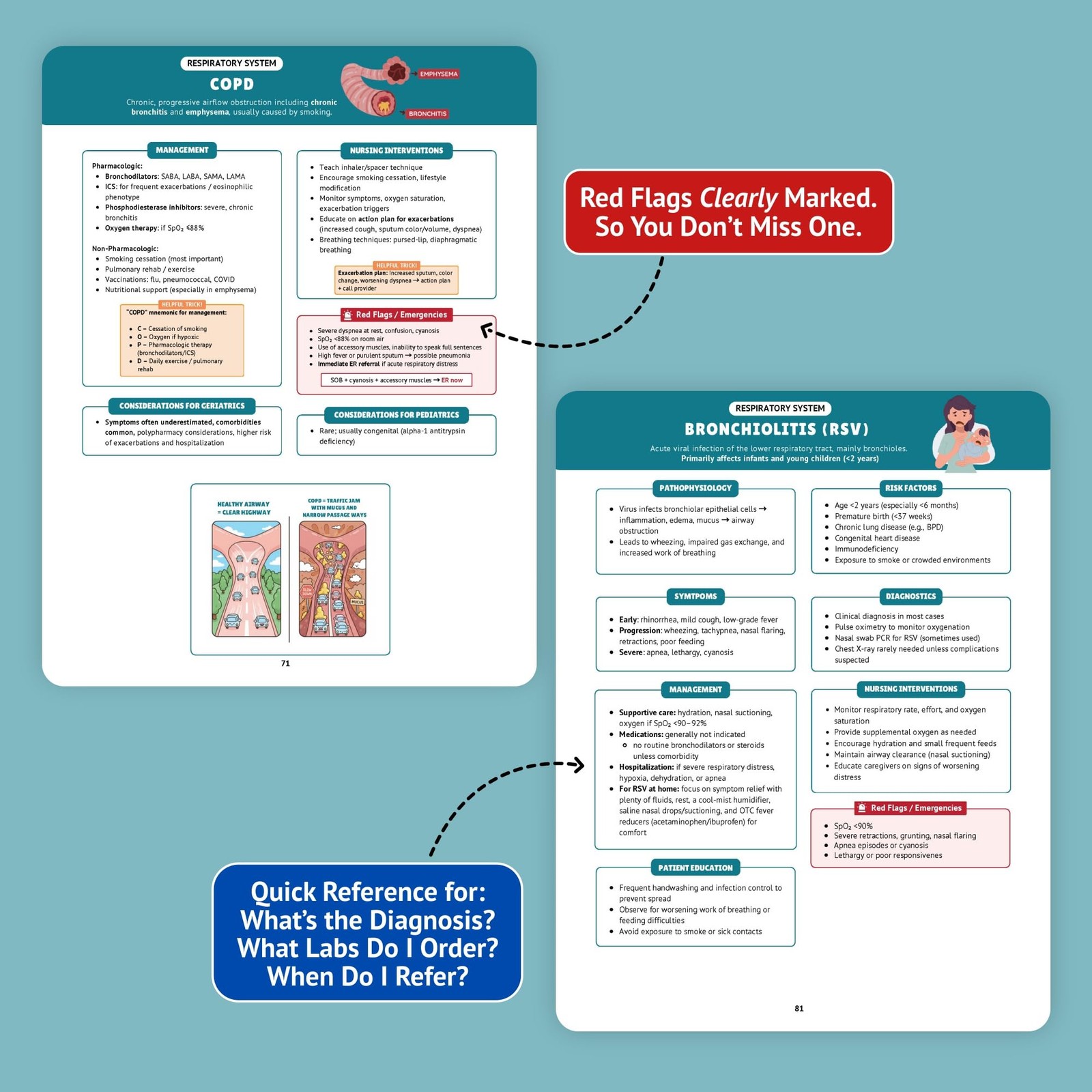 The Essential Family Nurse Practitioner Guide