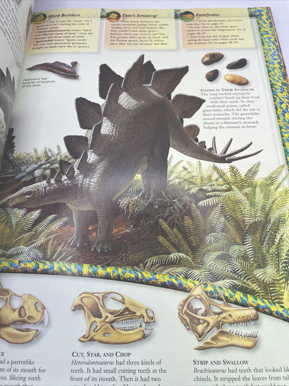 Vintage 1999 Reader’s Digest Pathfinders Dinosaurs By Paul M. A. Willis