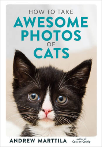 How to Take Awesome Photos of Cats – Hardcover By Marttila, Andrew – VERY GOOD