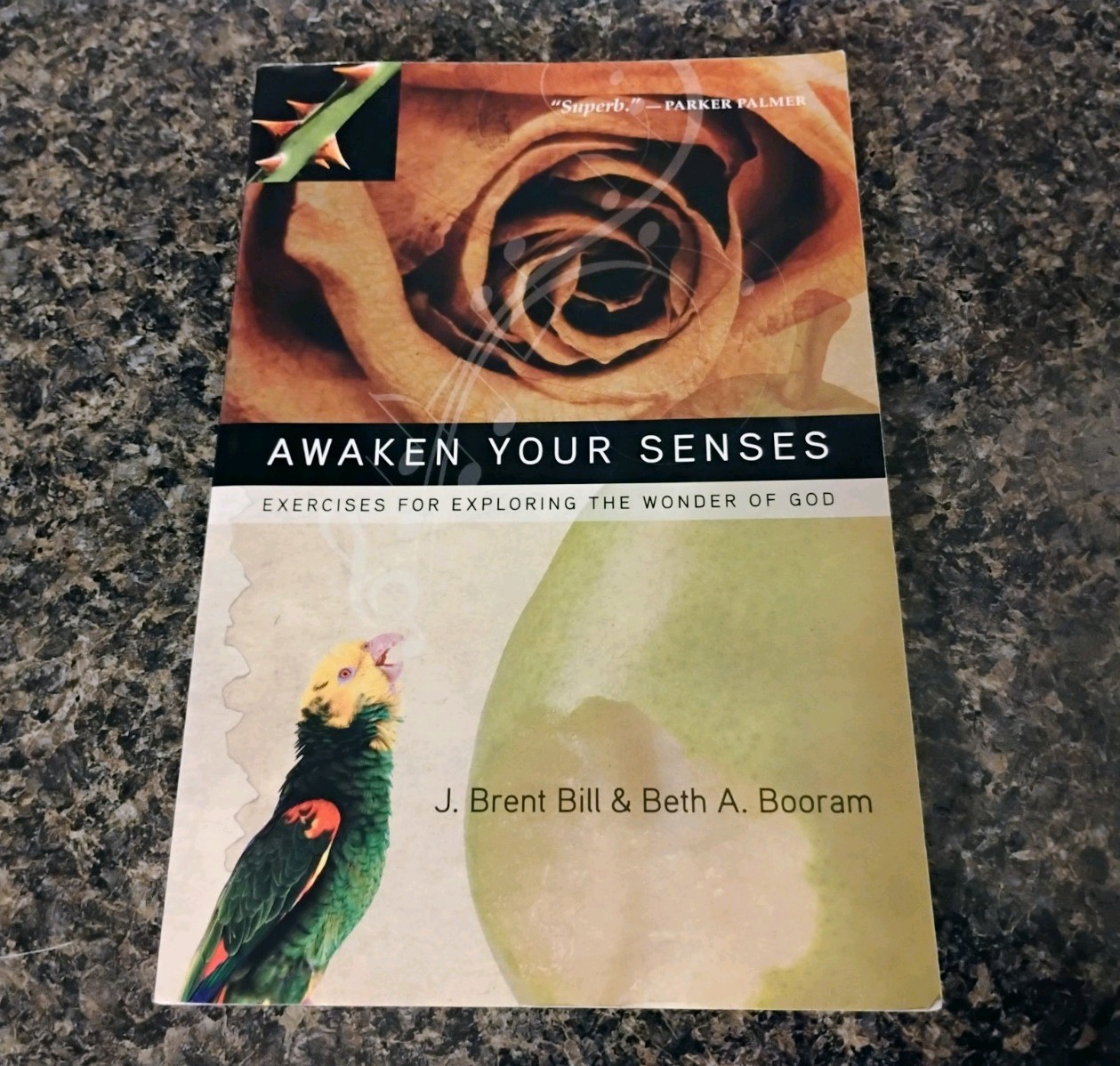 InterVarsity Press – Awaken Your Senses