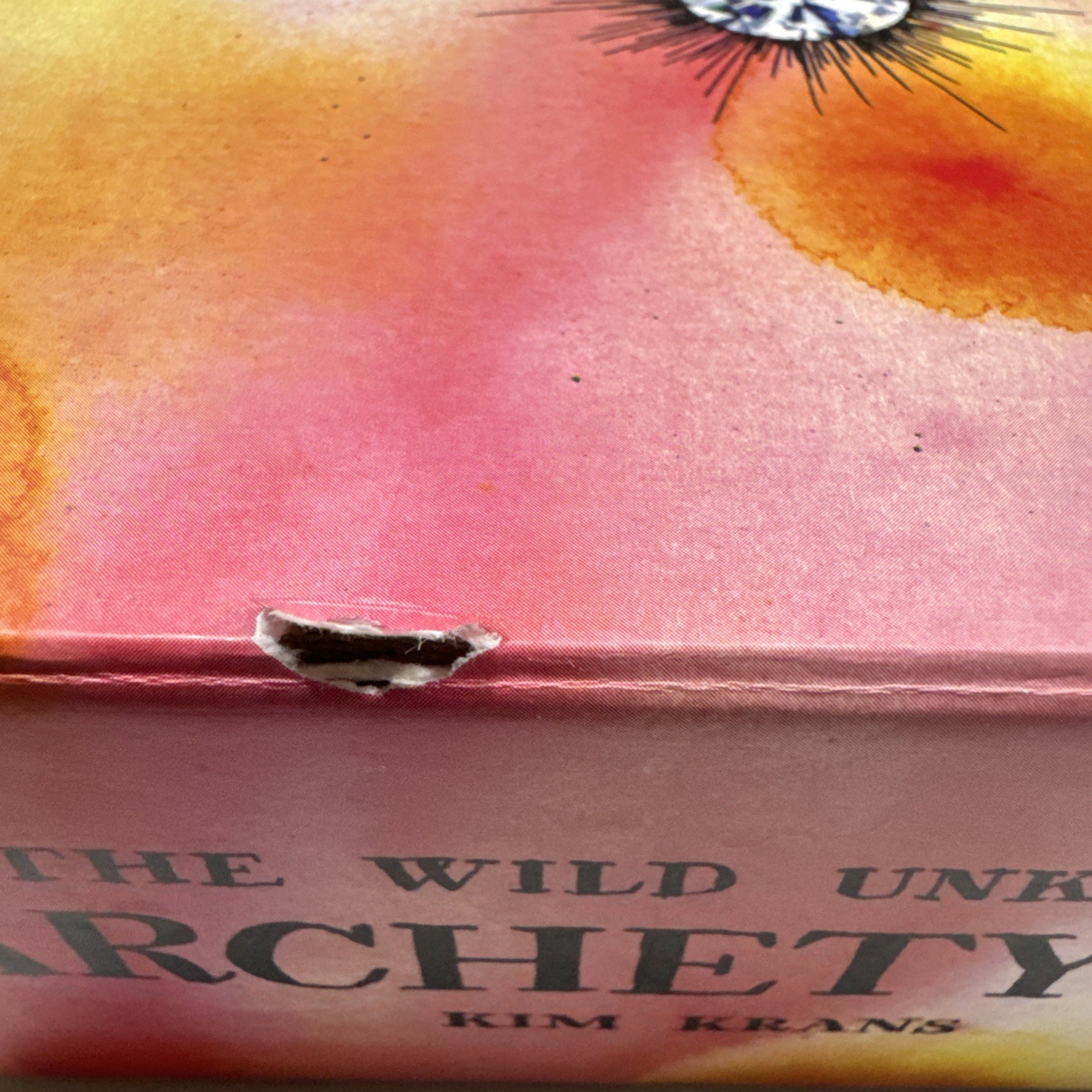 The Wild Unknown Archetypes Deck and Guidebook By Kim Krans 1st Edition Oracle
