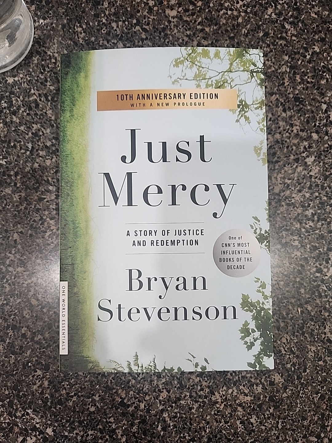 Just Mercy : A Story of Justice and Redemption by Bryan Stevenson Paperback)