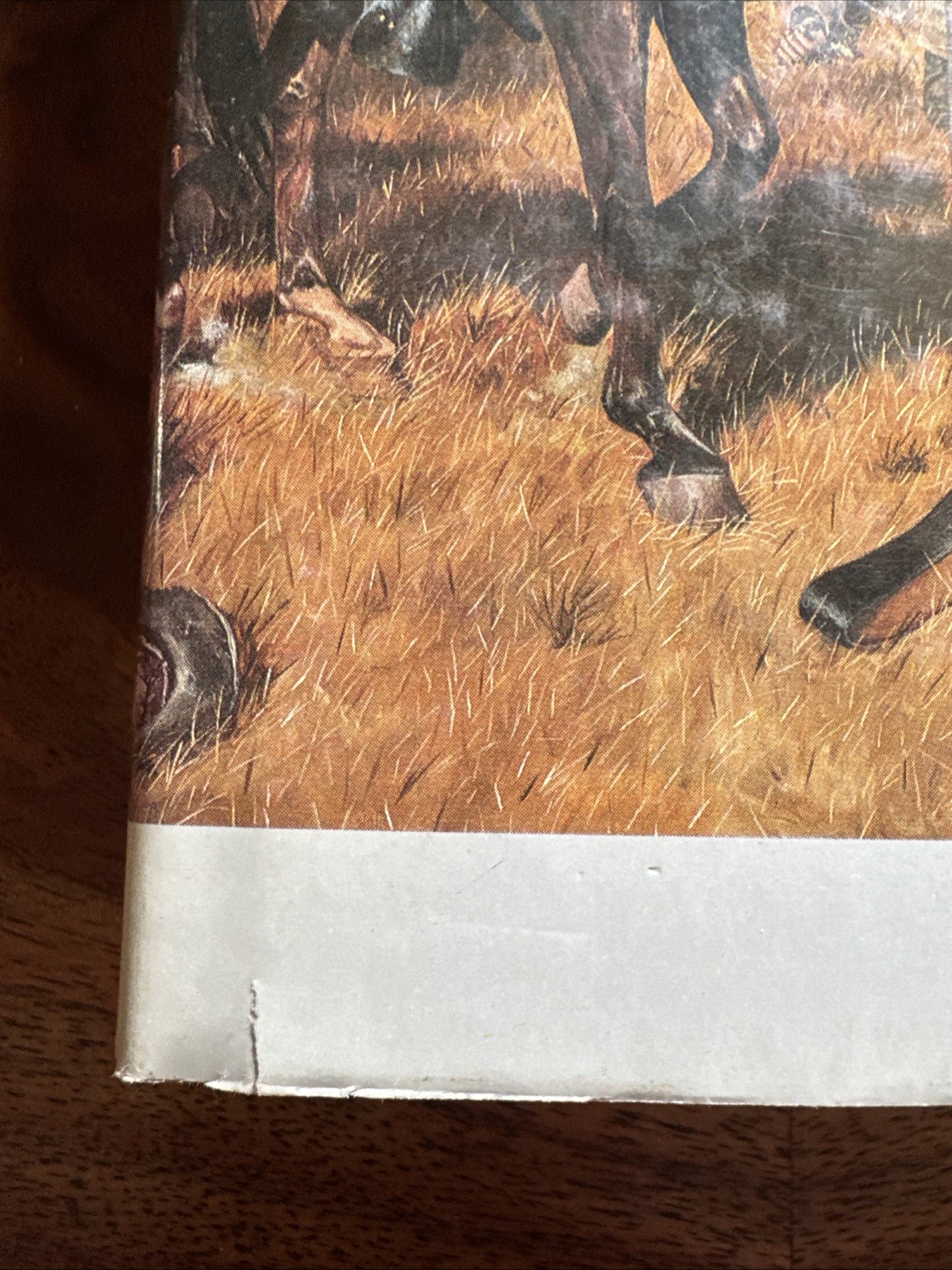 Before Antietam: The Battle for South Mountain by John M. Priest