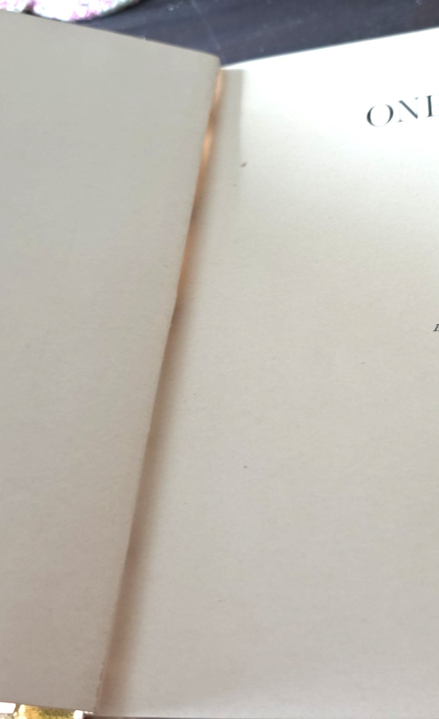 Antique Book 1886 HC One Year’s Sketchbook. Jerome Lee and Shepard Boston
